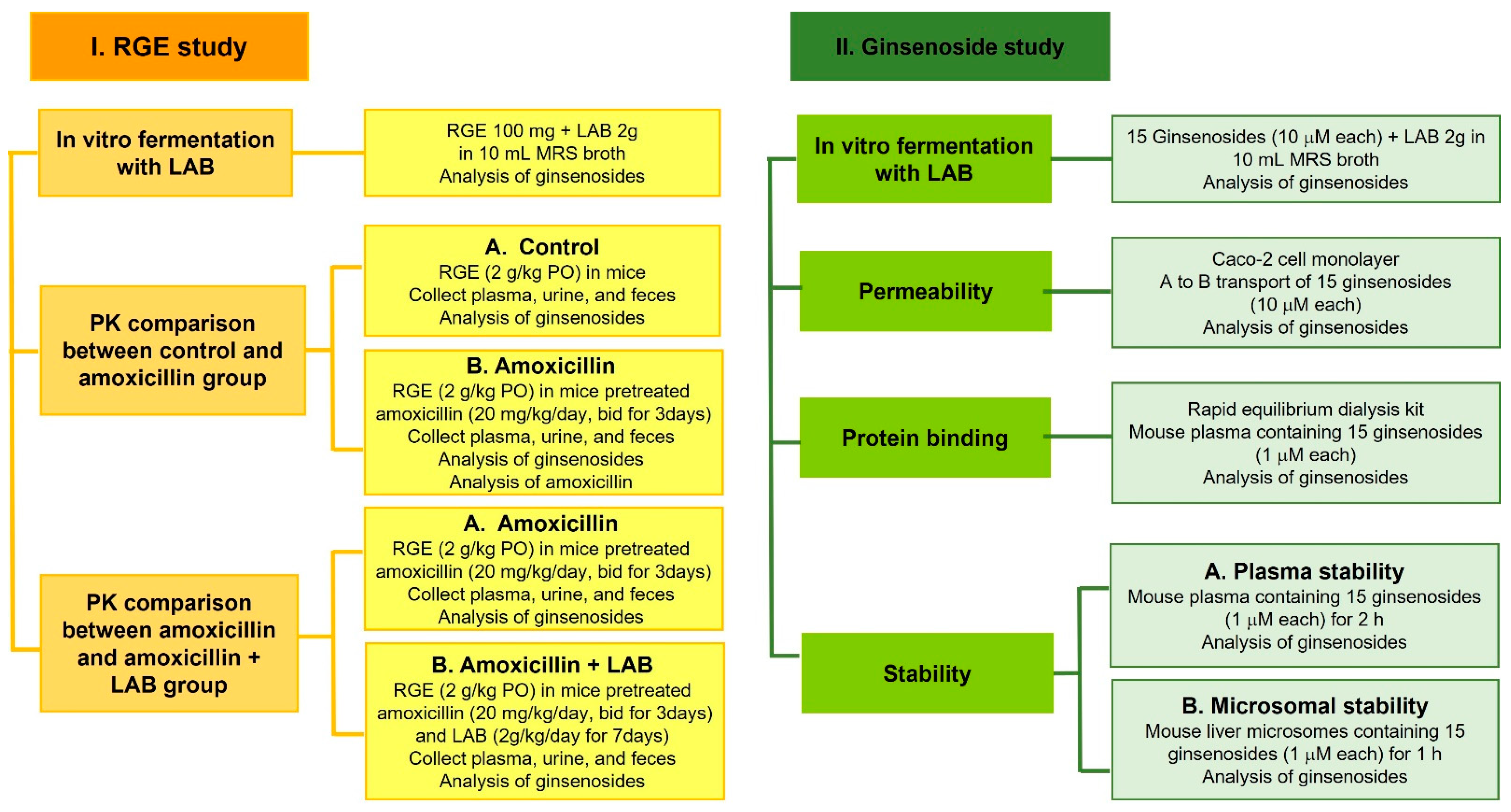 Pharmaceutics 13 01496 g002