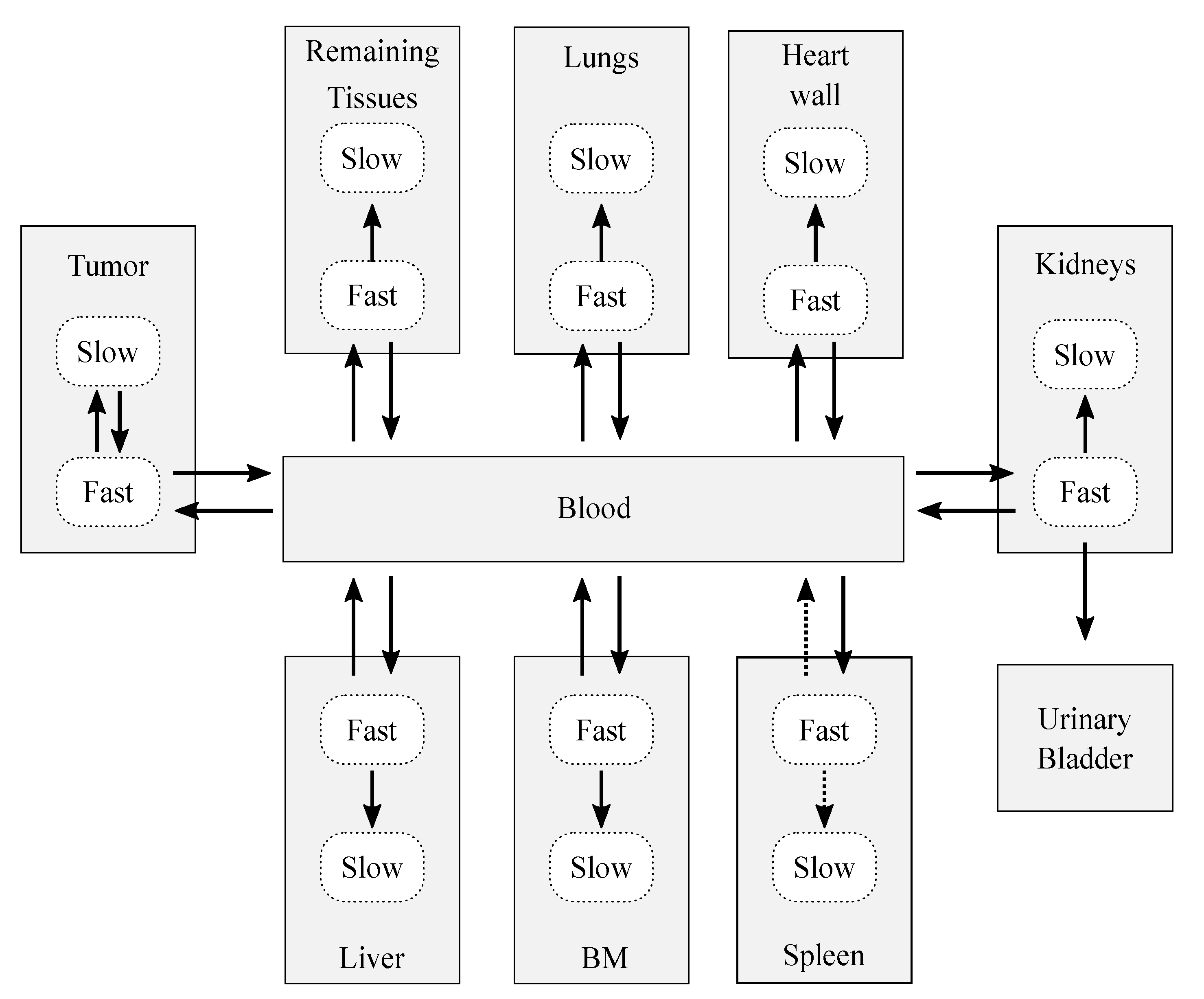 Pharmaceutics 13 01497 g003