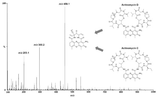 Pharmaceutics 13 01498 g001