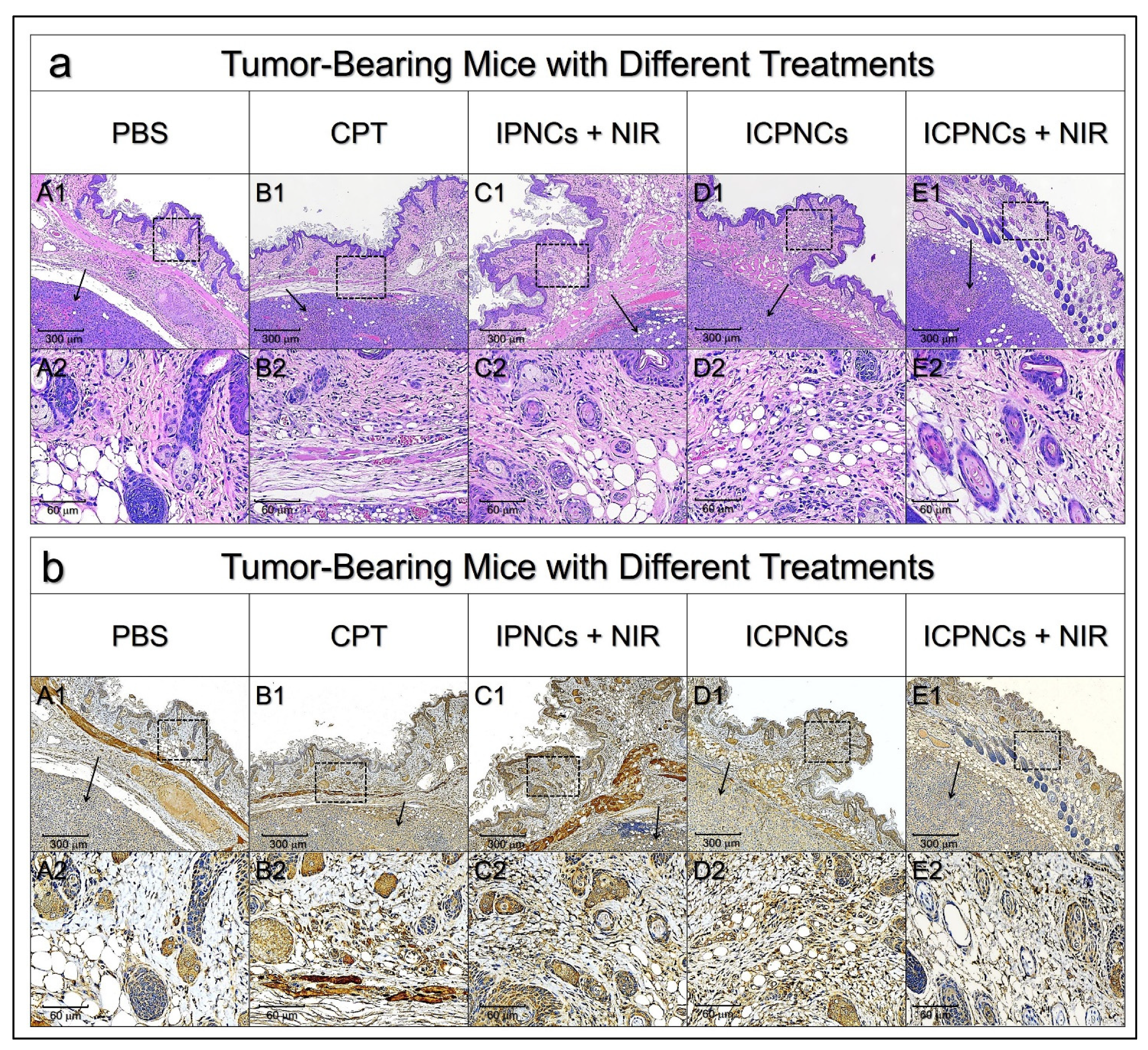 Pharmaceutics 13 01499 g007
