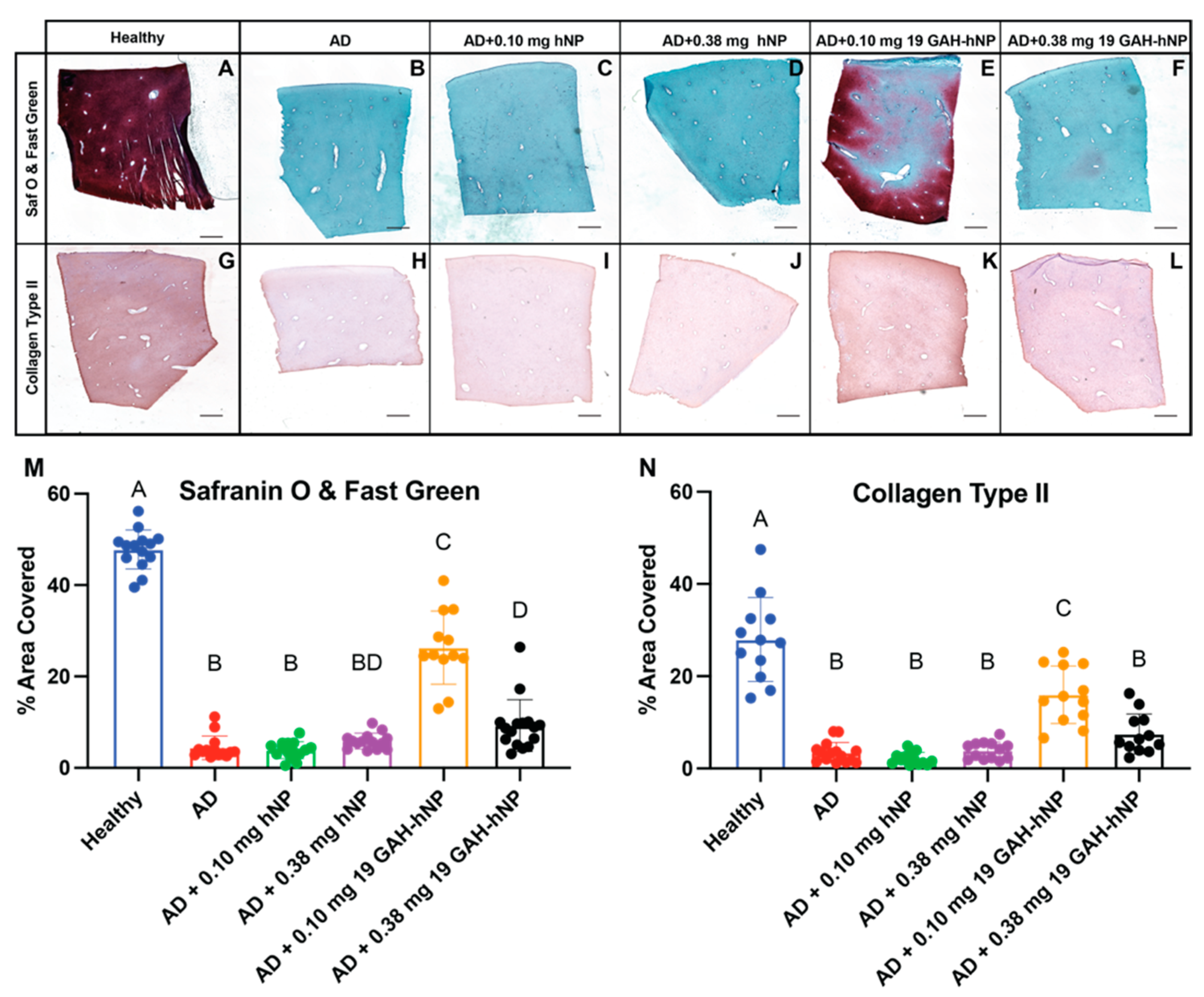 Pharmaceutics 13 01503 g007