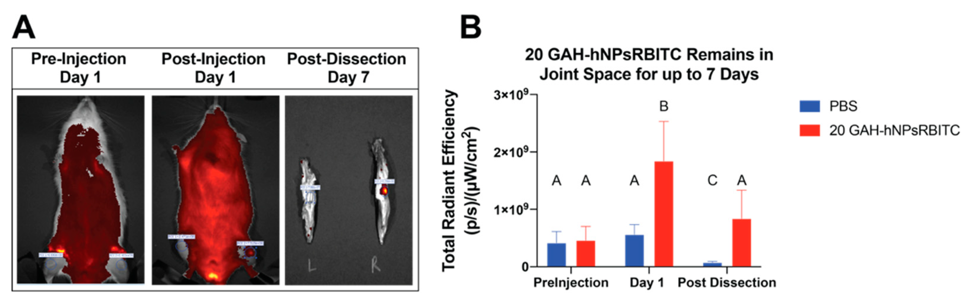 Pharmaceutics 13 01503 g008