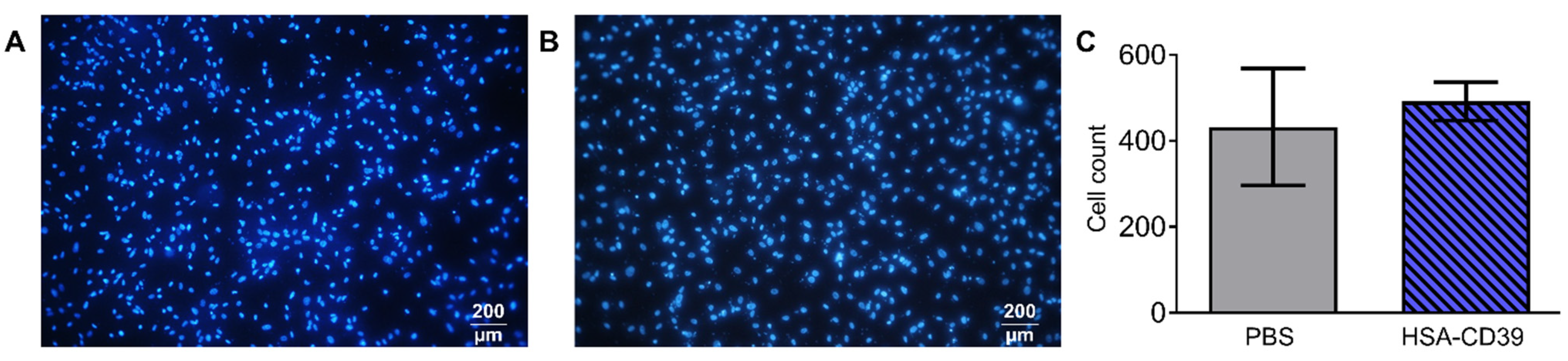 Pharmaceutics 13 01504 g006