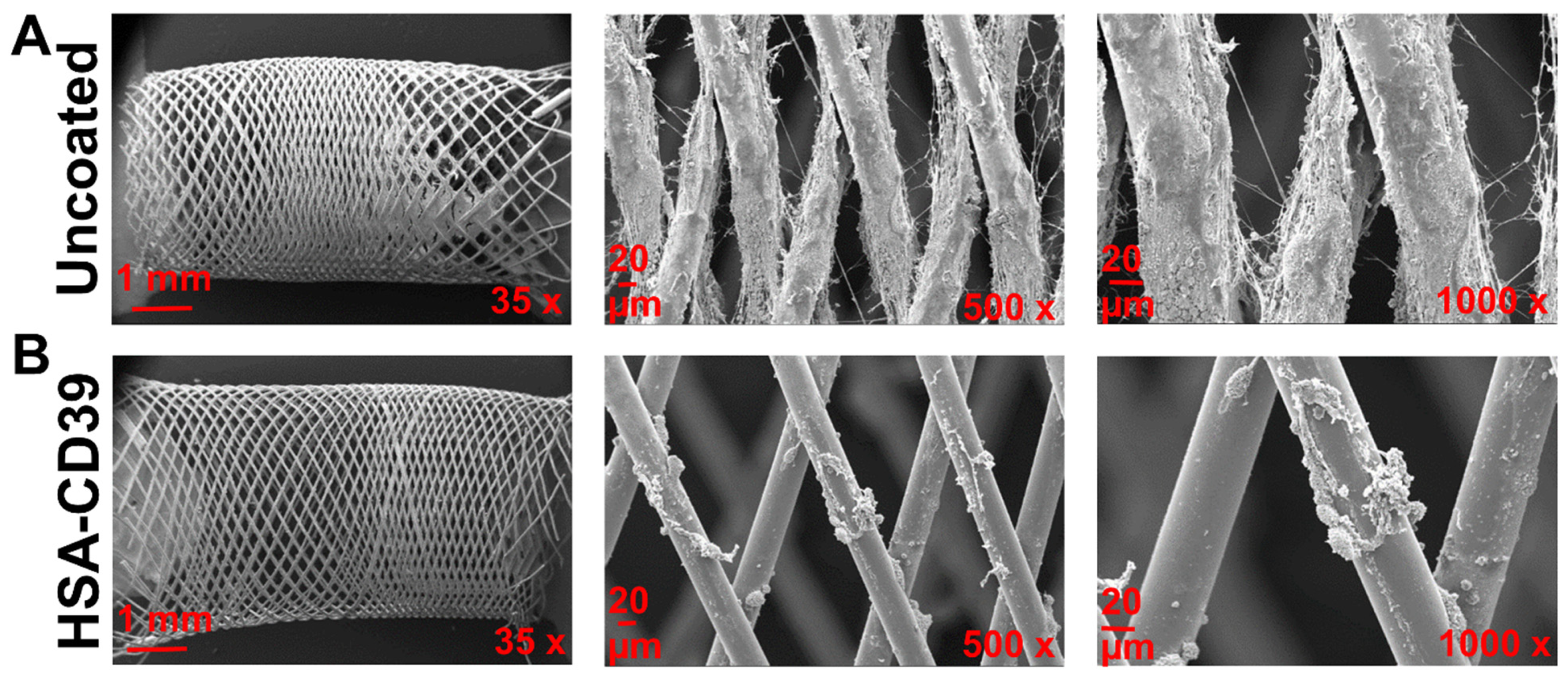 Pharmaceutics 13 01504 g008
