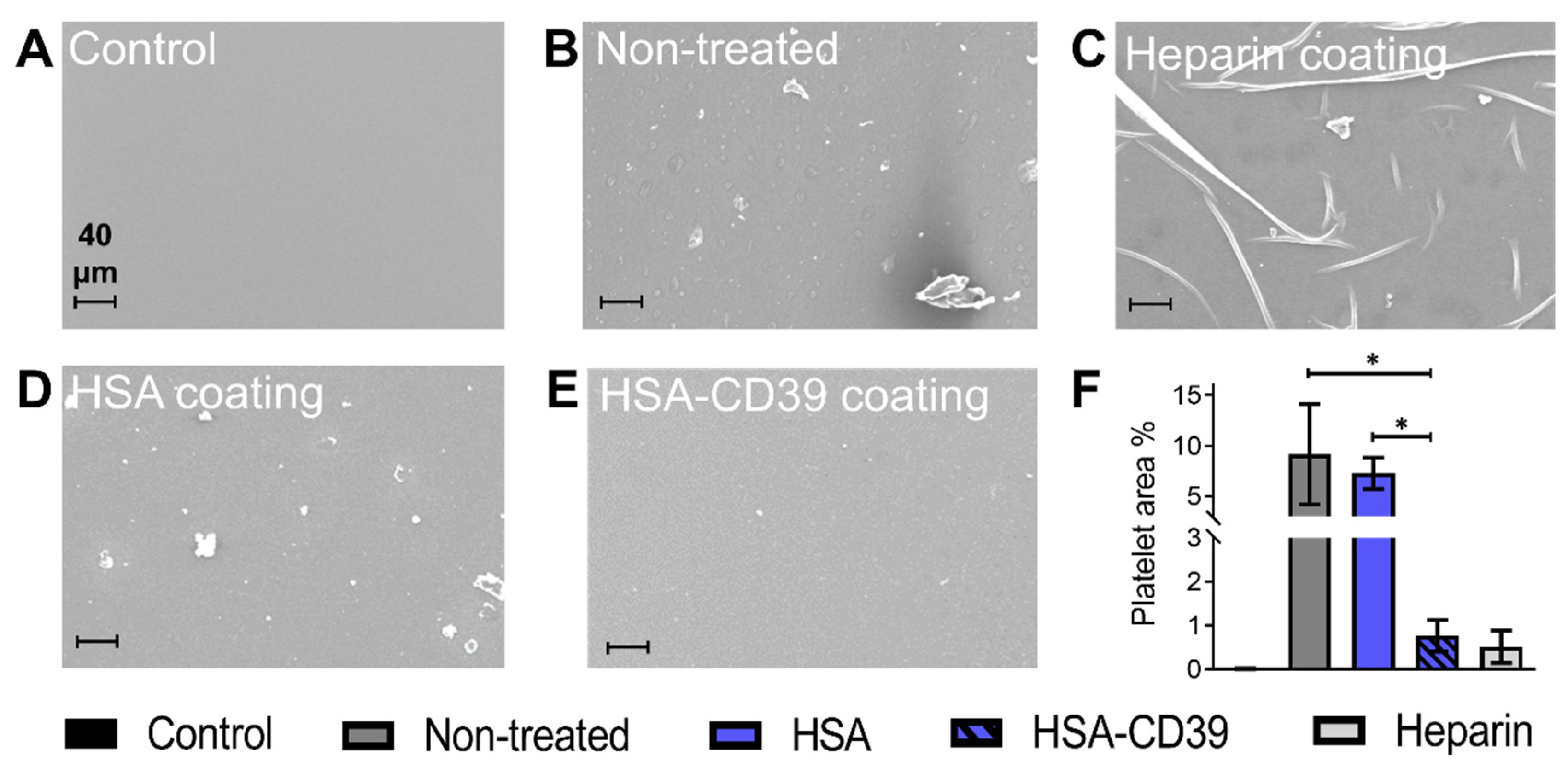 Pharmaceutics 13 01504 g009