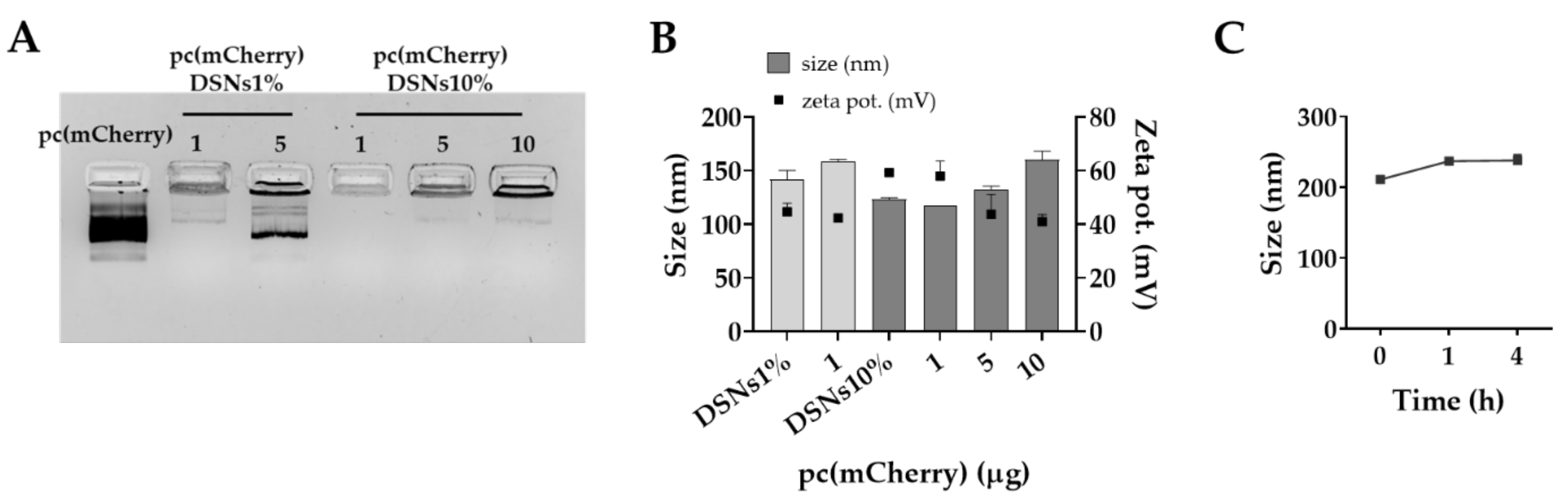 Pharmaceutics 13 01507 g001