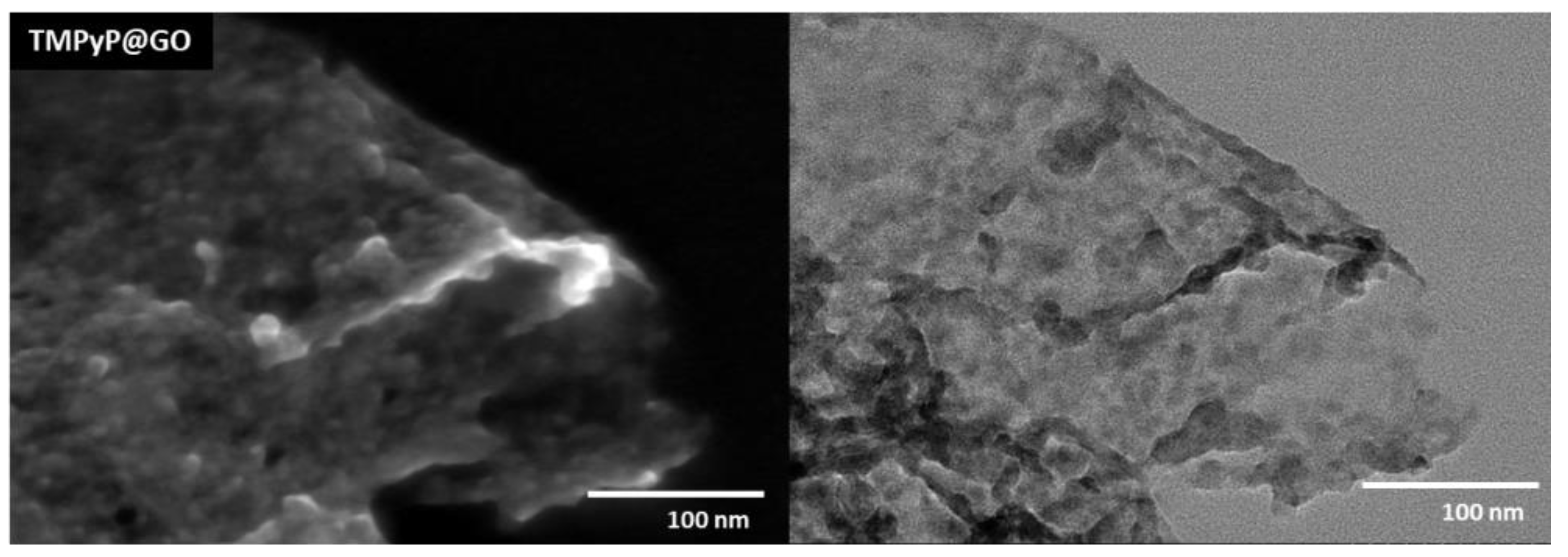 Pharmaceutics 13 01512 g004