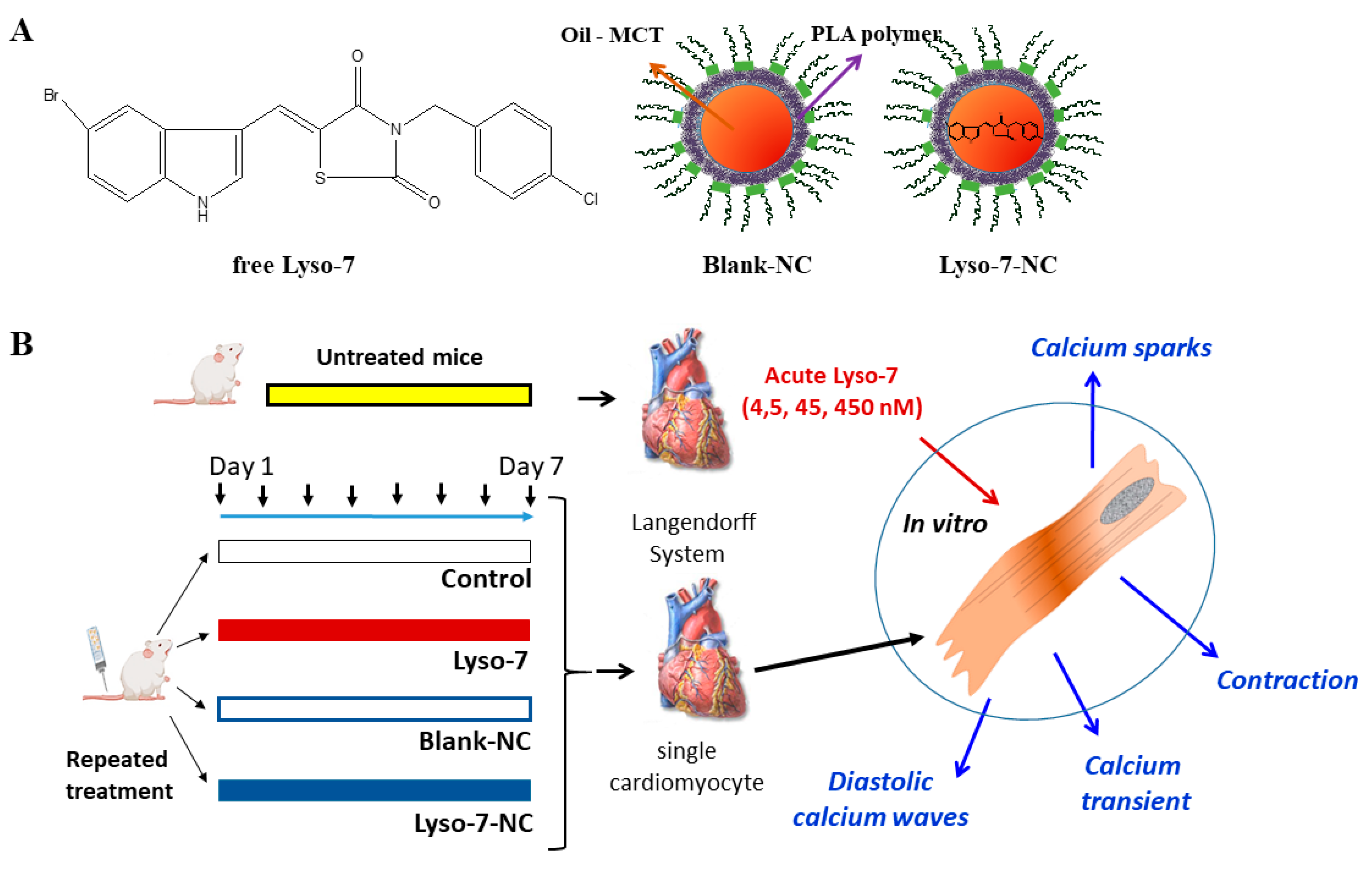 Pharmaceutics 13 01521 g001