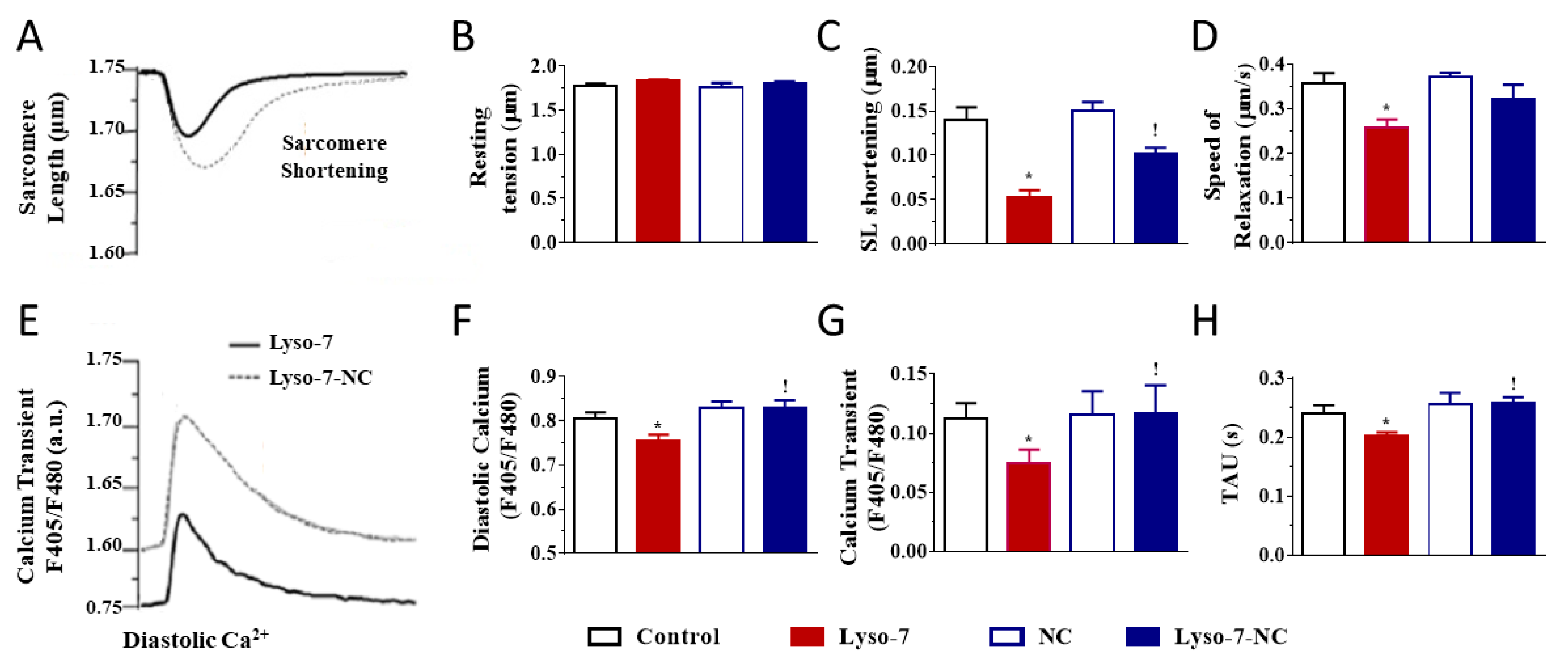 Pharmaceutics 13 01521 g002