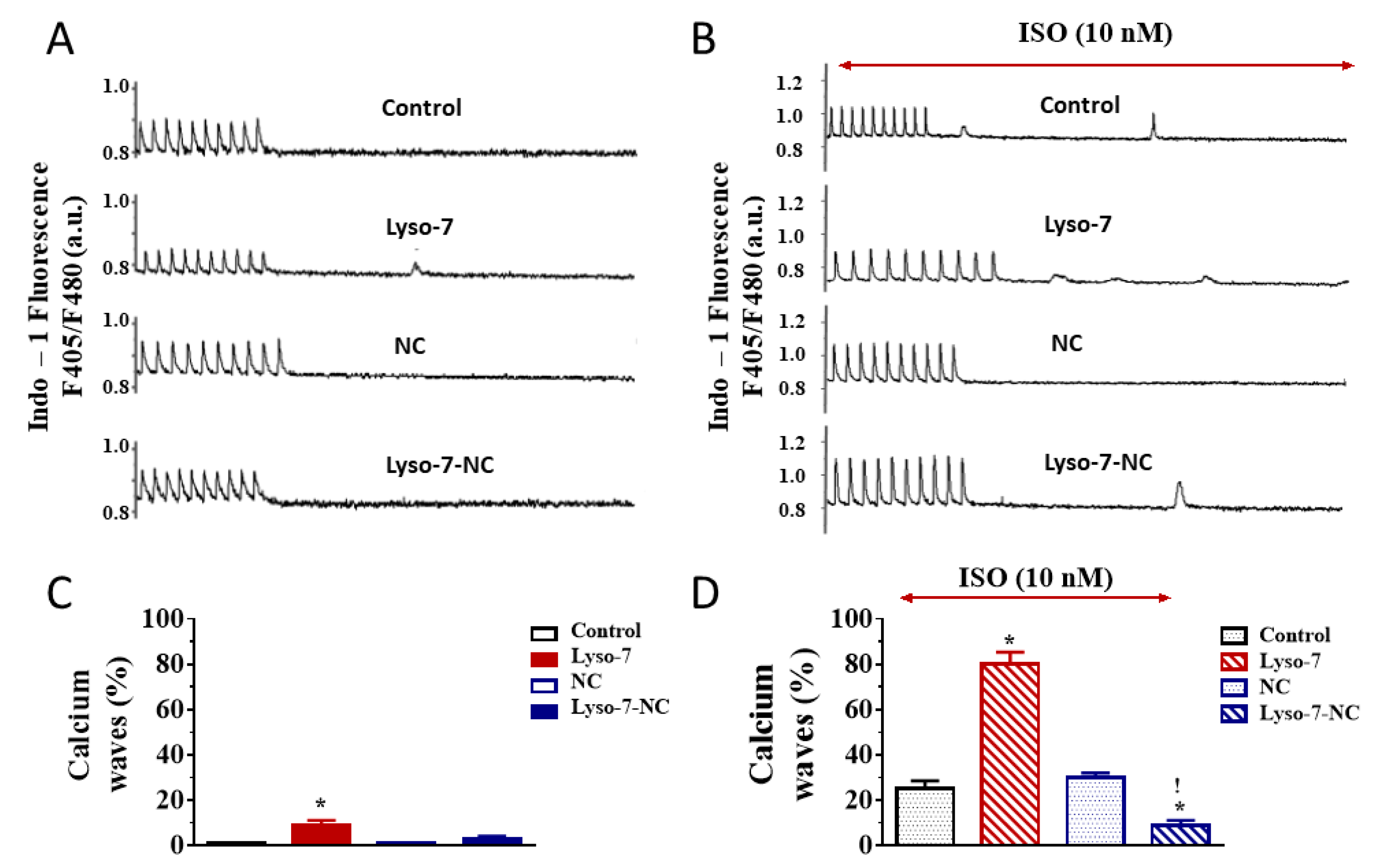 Pharmaceutics 13 01521 g004