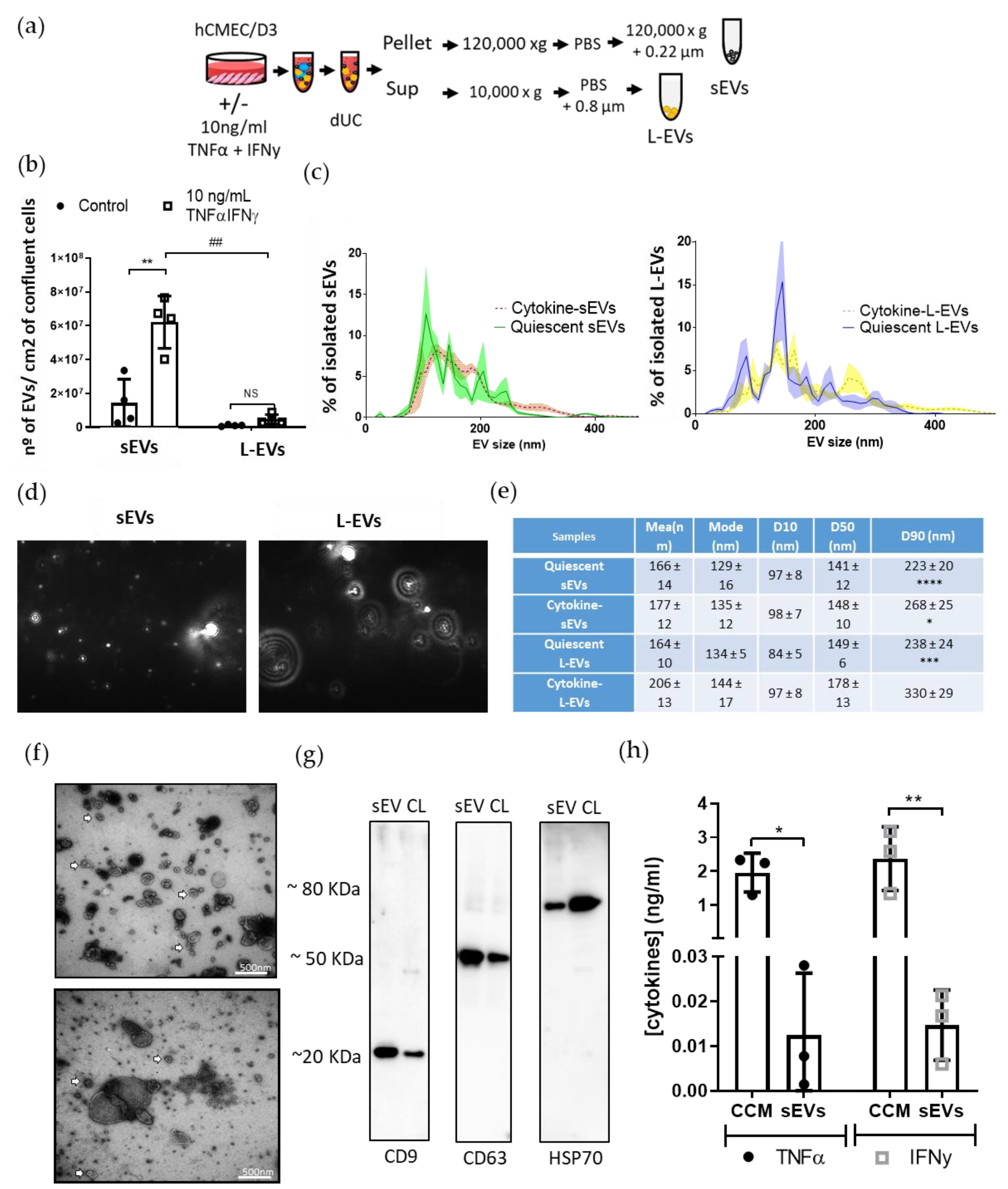 Pharmaceutics 13 01525 g001