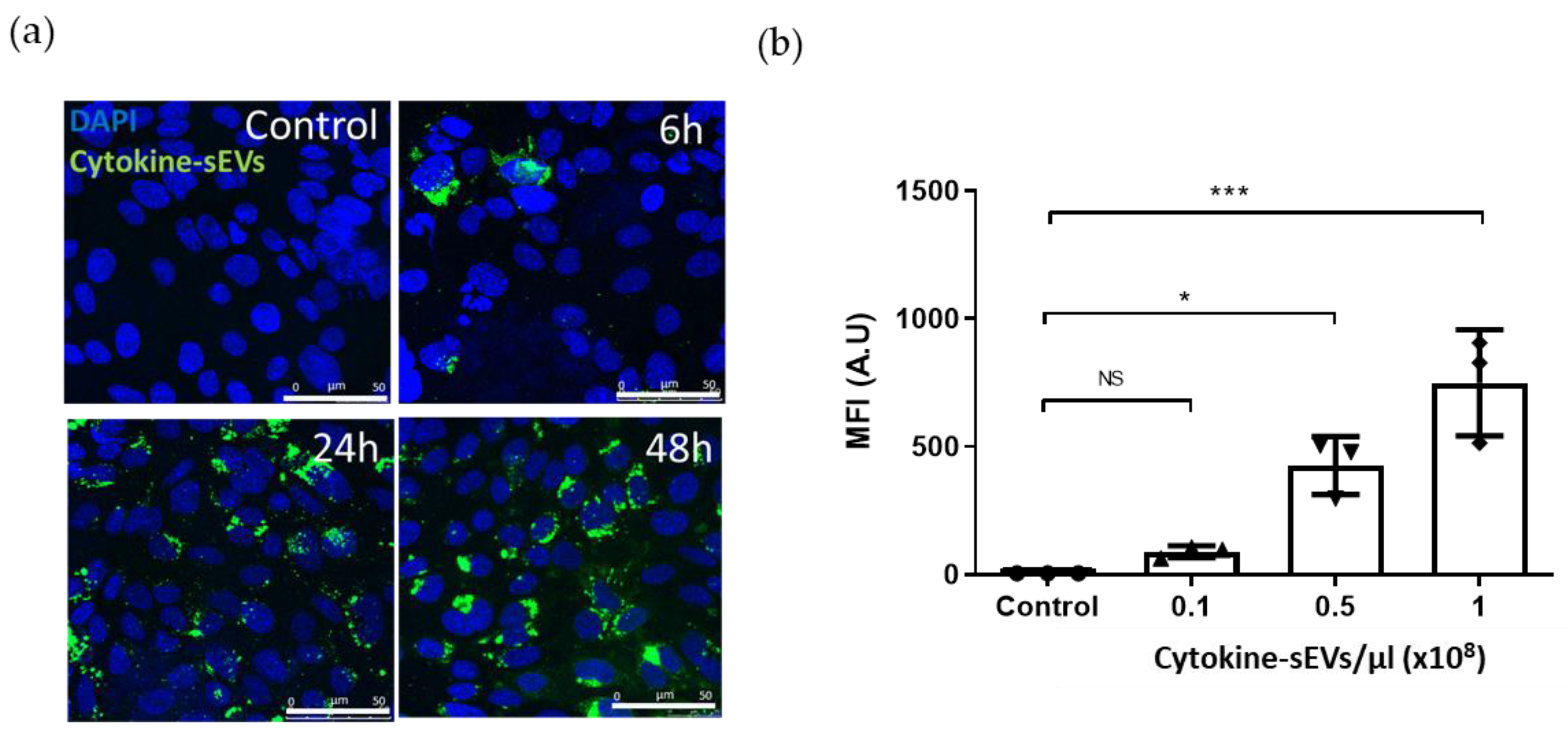 Pharmaceutics 13 01525 g002