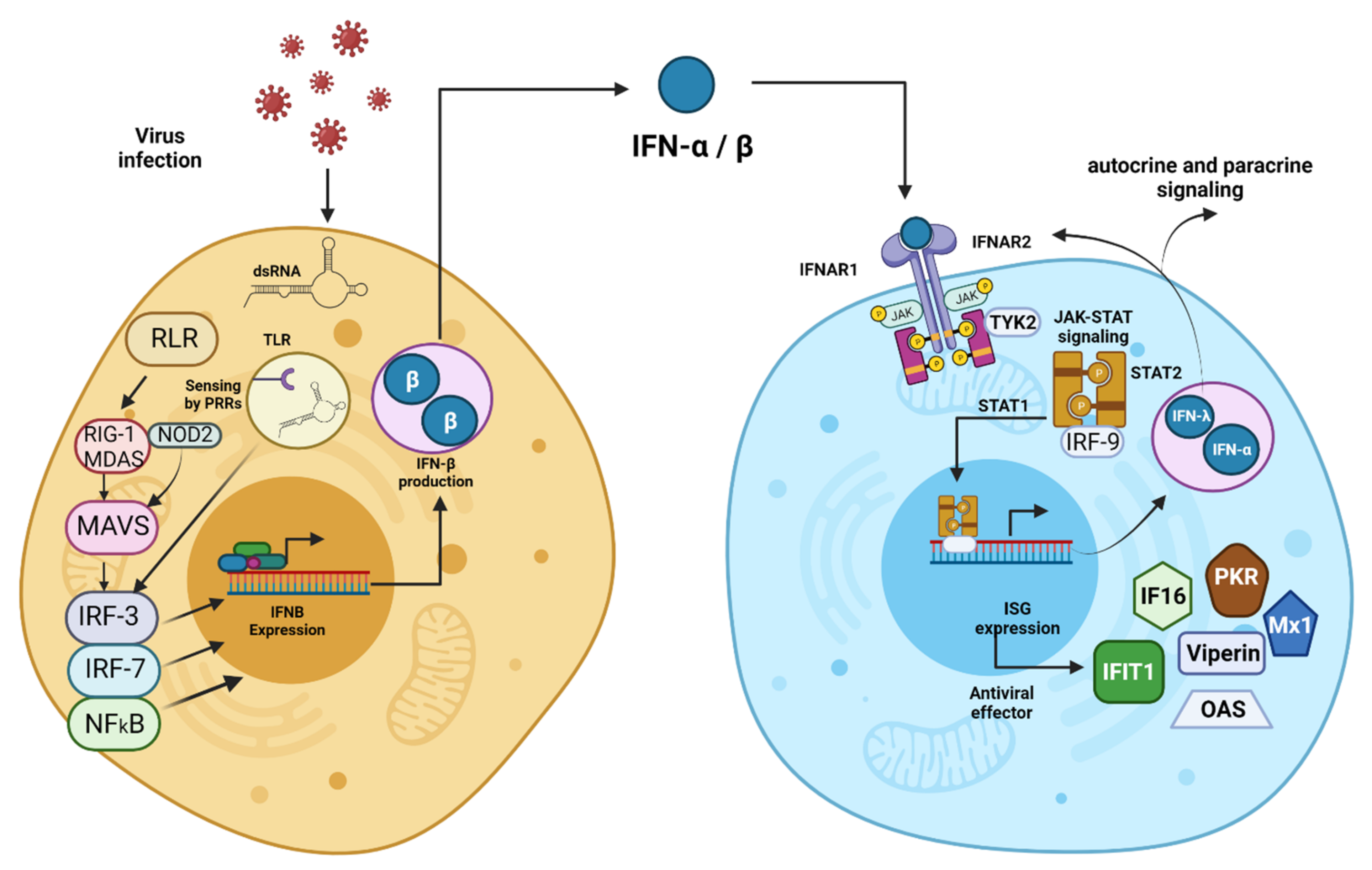 Pharmaceutics 13 01533 g001