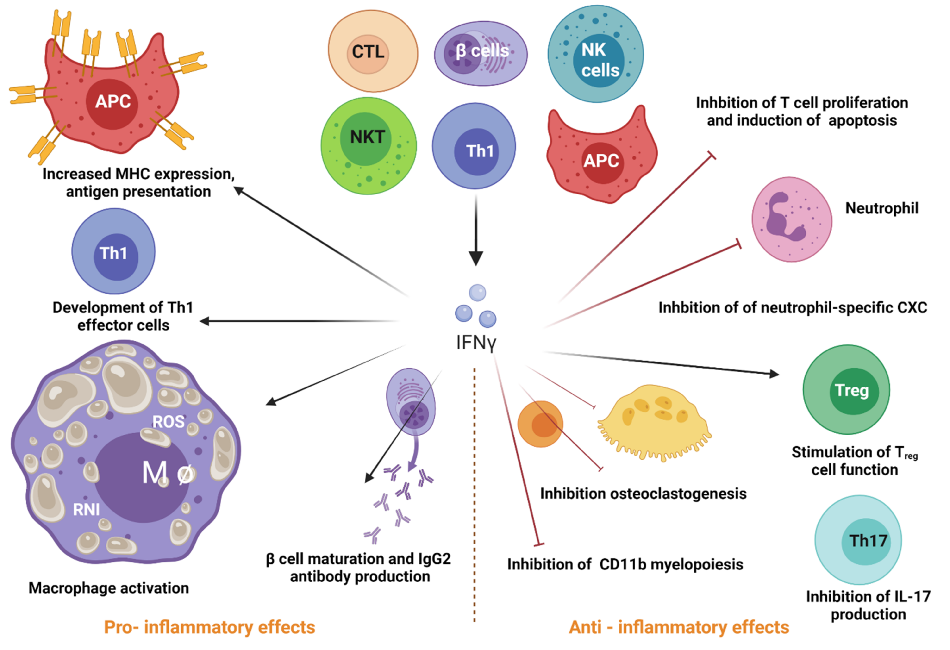 Pharmaceutics 13 01533 g002