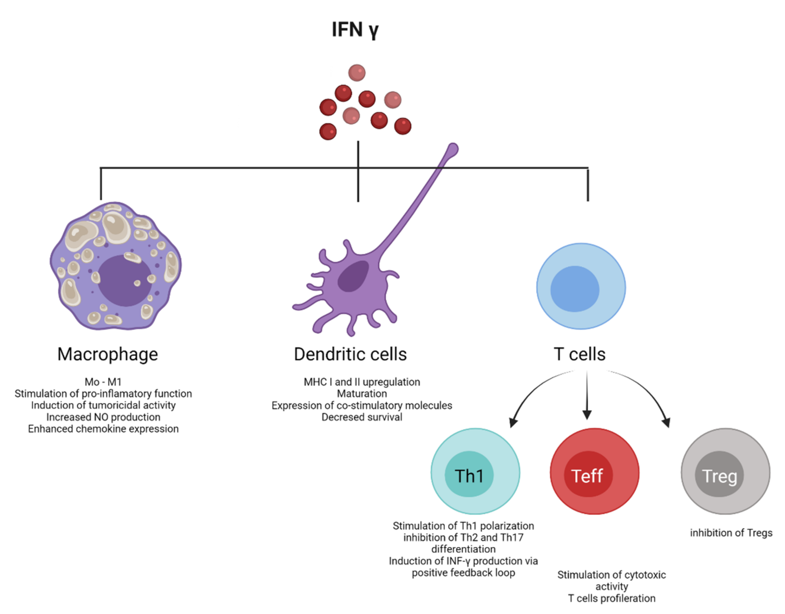 Pharmaceutics 13 01533 g006