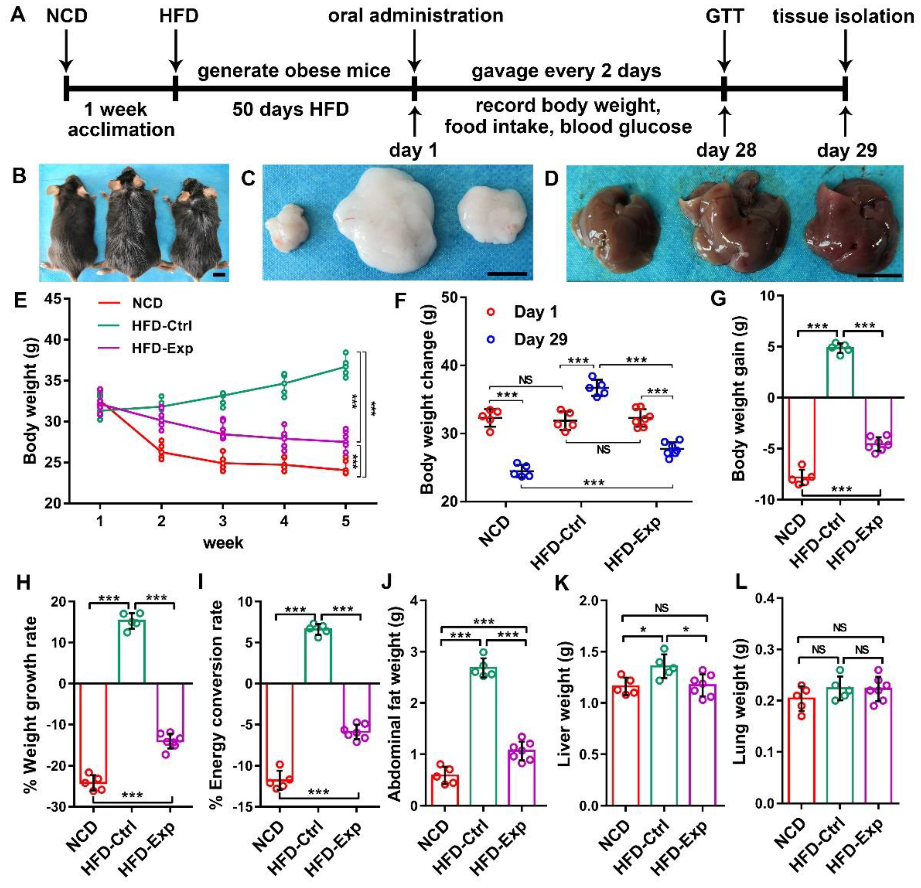 Pharmaceutics 13 01536 g003