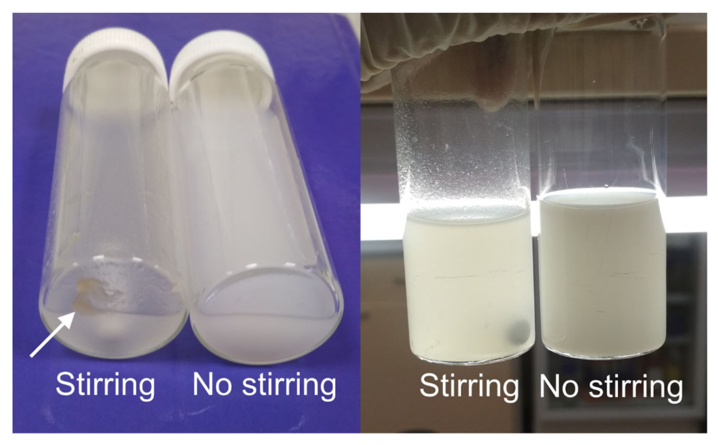Pharmaceutics 13 01537 g002