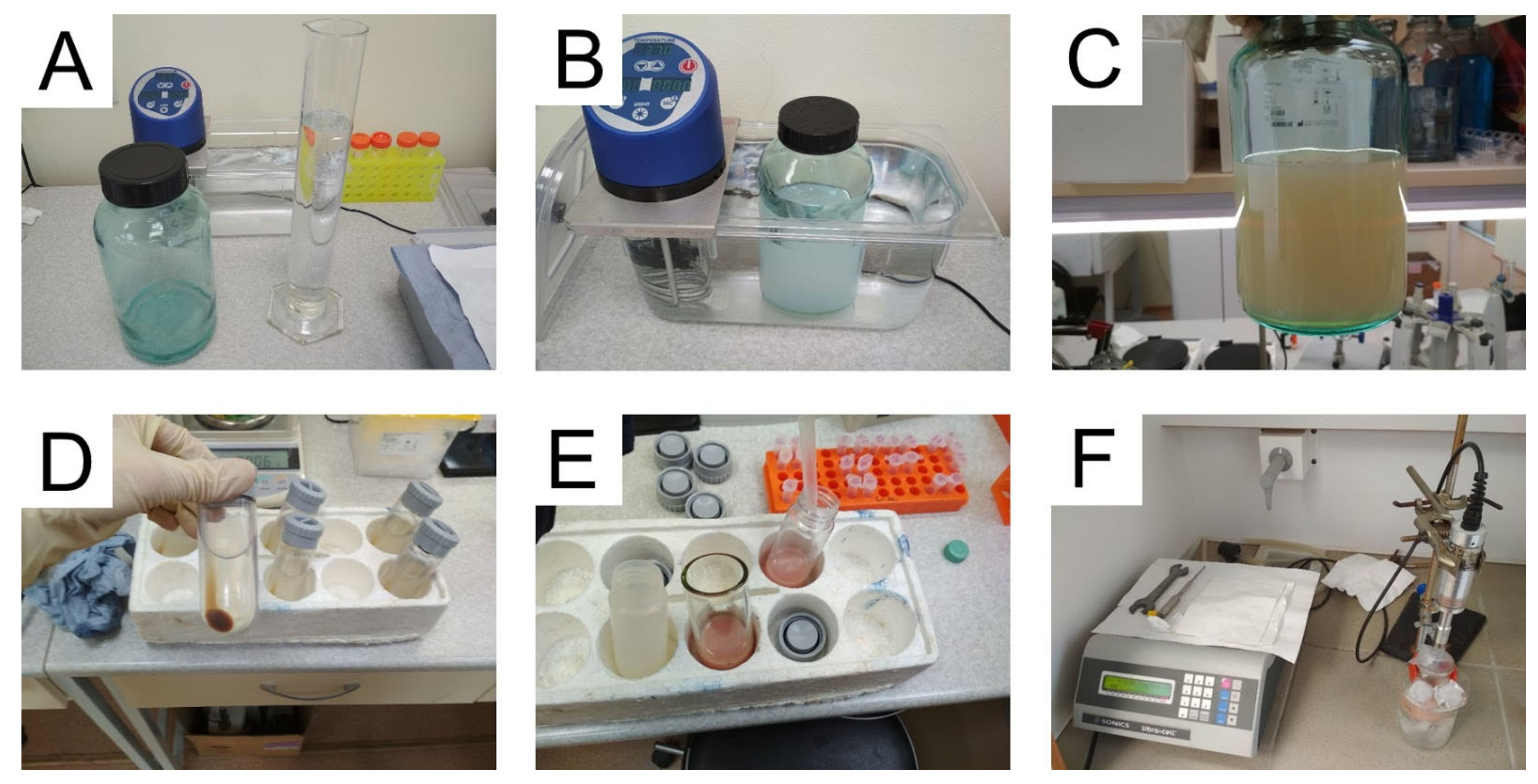 Pharmaceutics 13 01537 g003