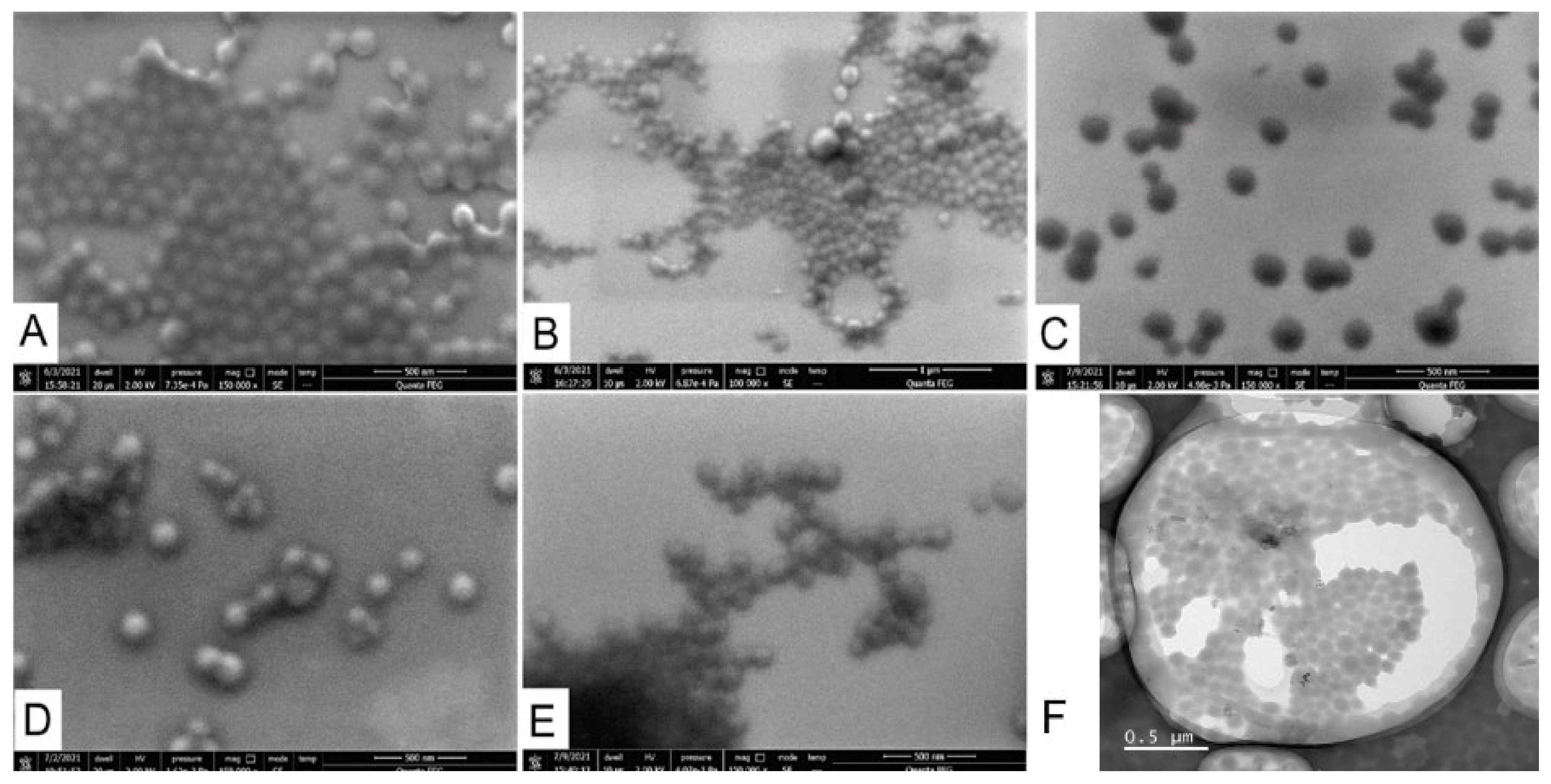 Pharmaceutics 13 01537 g005