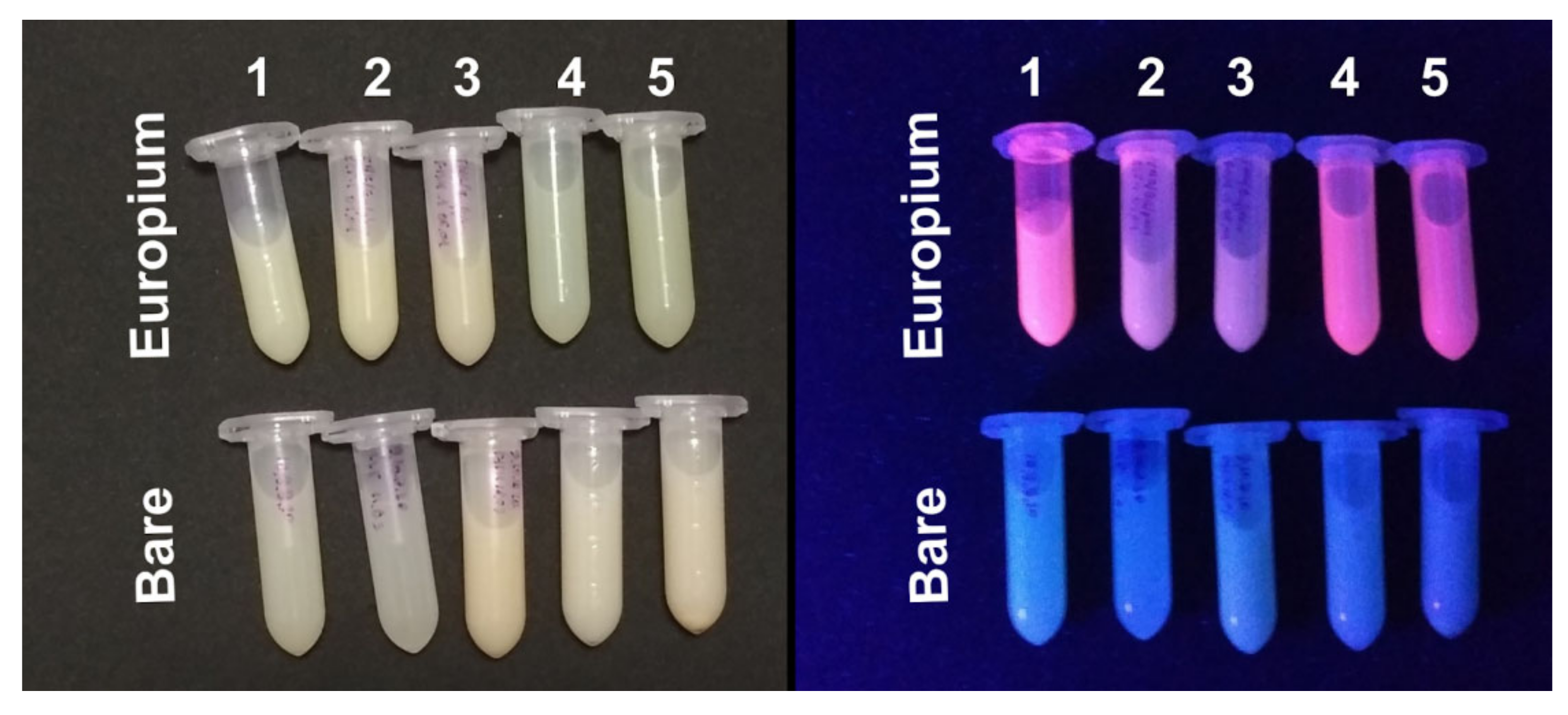 Pharmaceutics 13 01537 g008