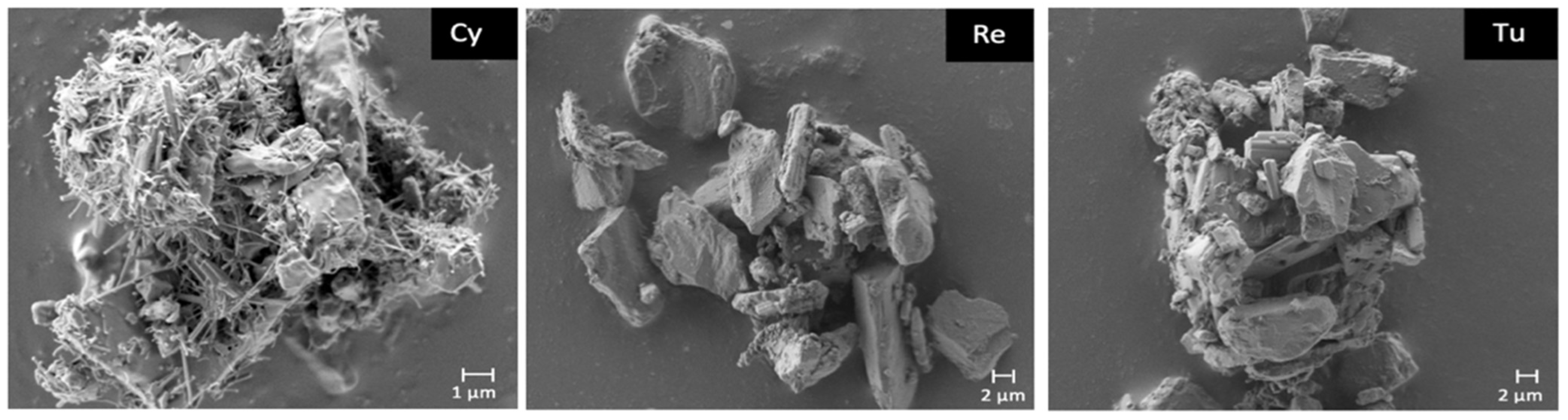 Pharmaceutics 13 01541 g004 Pharmaceutics 13 01541 g004