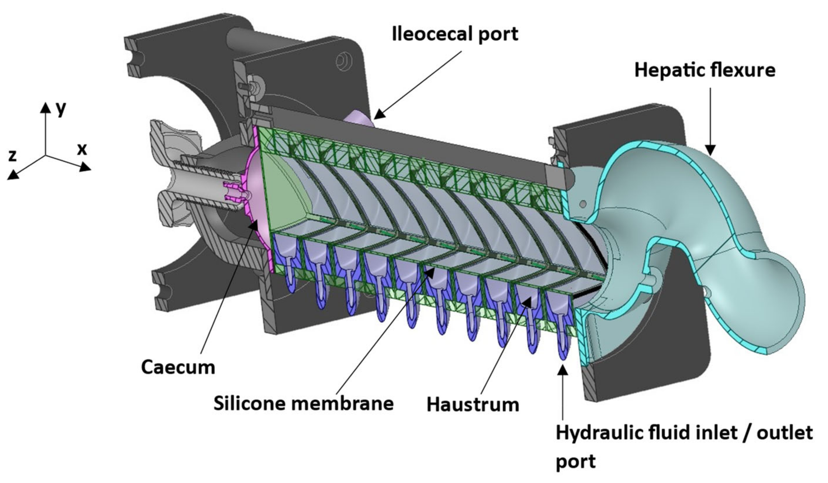 Pharmaceutics 13 01545 g001