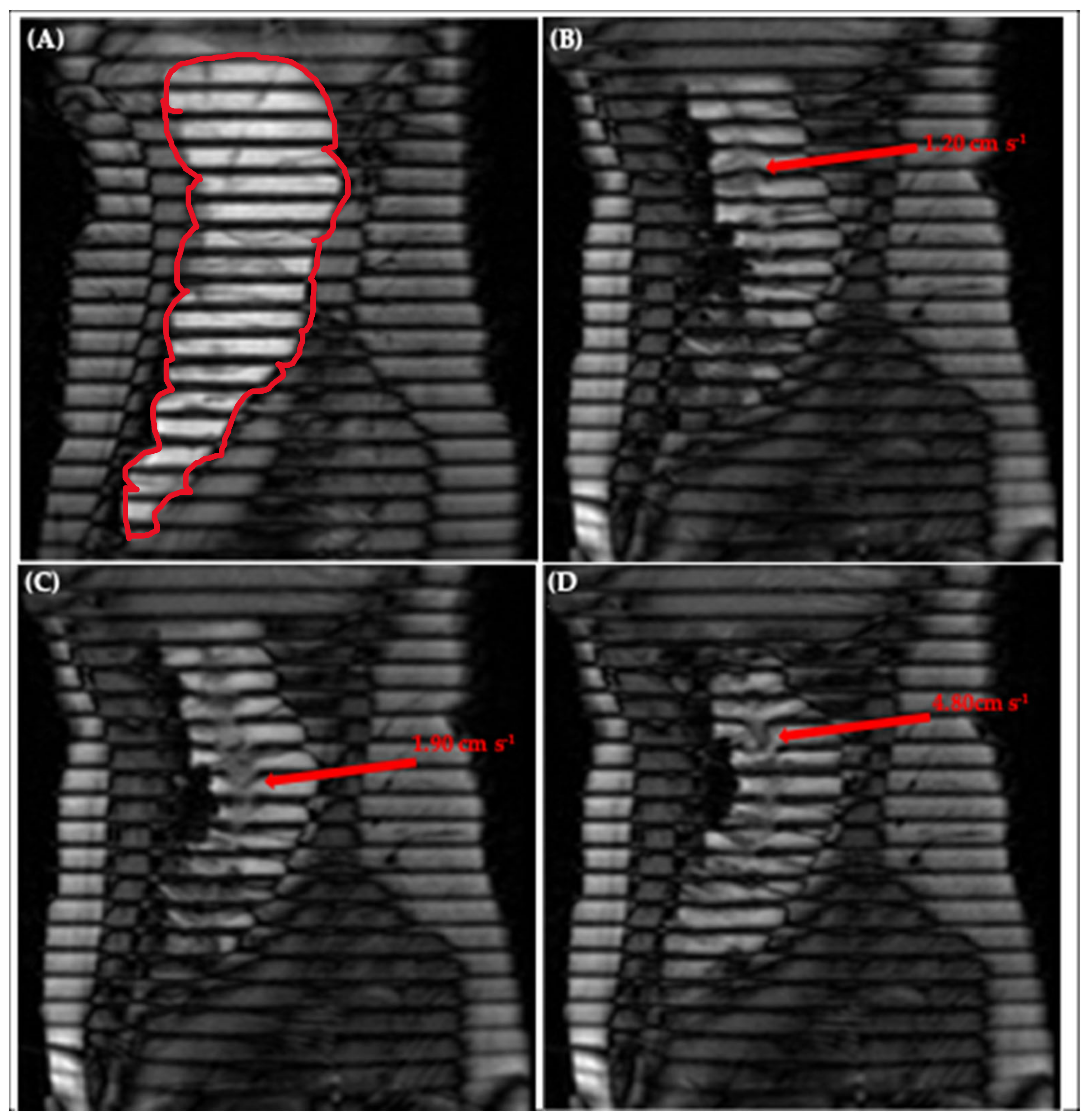 Pharmaceutics 13 01545 g006