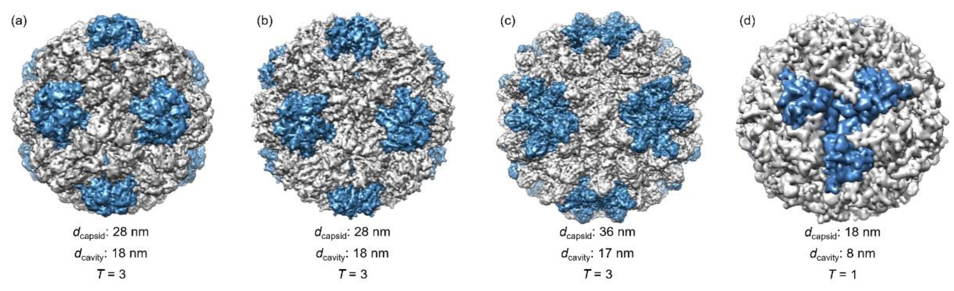 Pharmaceutics 13 01551 g001 Pharmaceutics 13 01551 g001