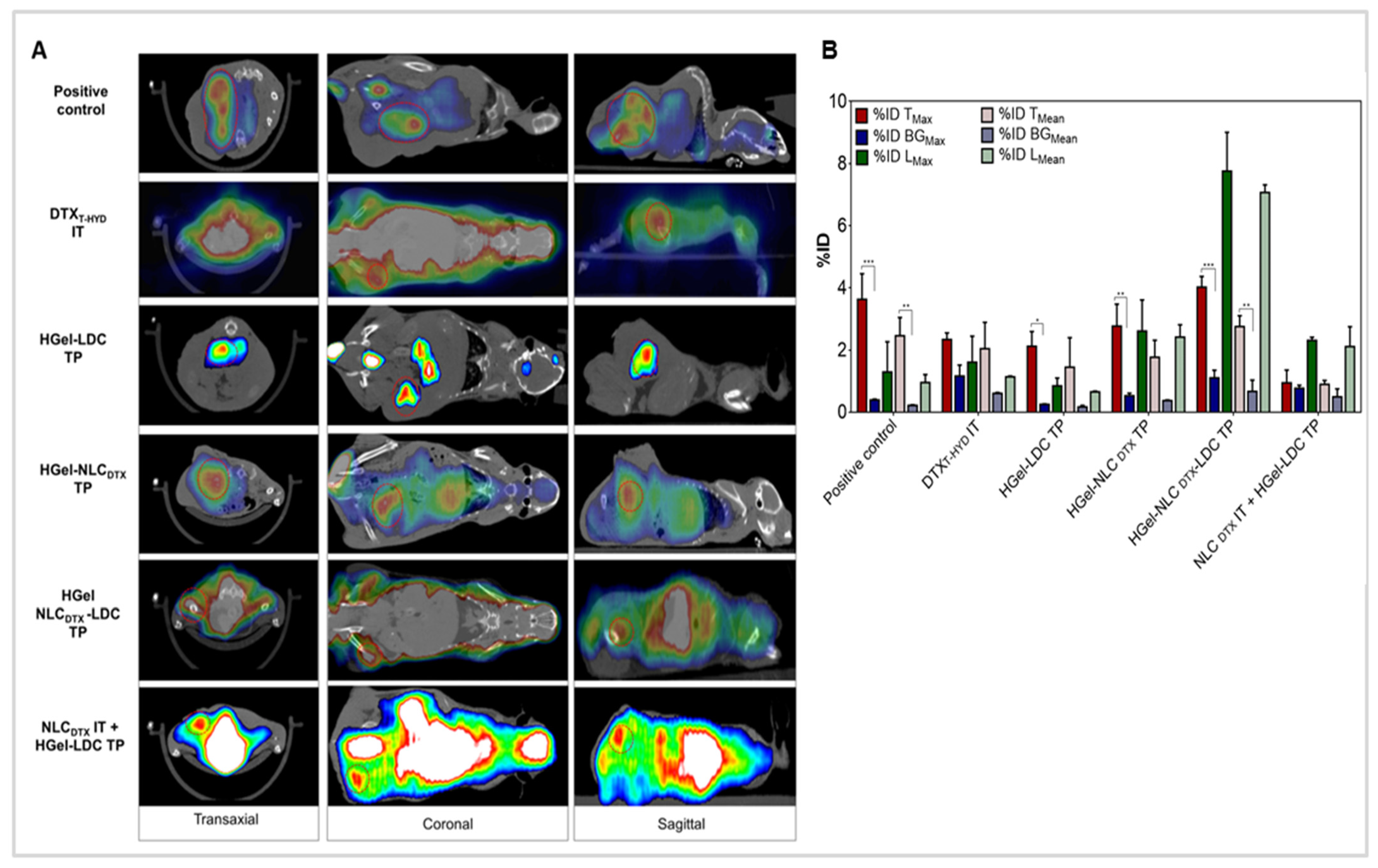 Pharmaceutics 13 01552 g005 Pharmaceutics 13 01552 g005