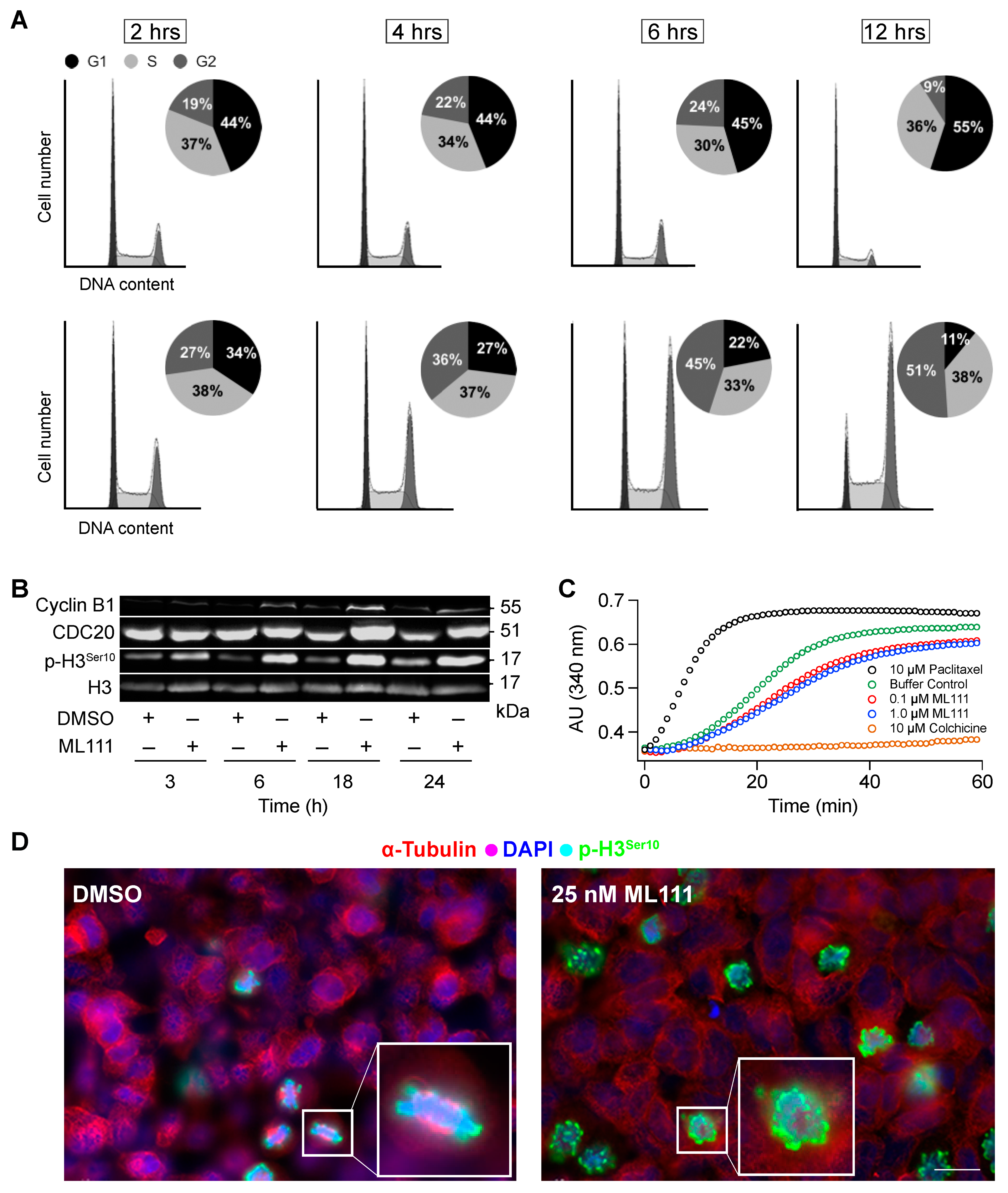 Pharmaceutics 13 01553 g004 Pharmaceutics 13 01553 g004