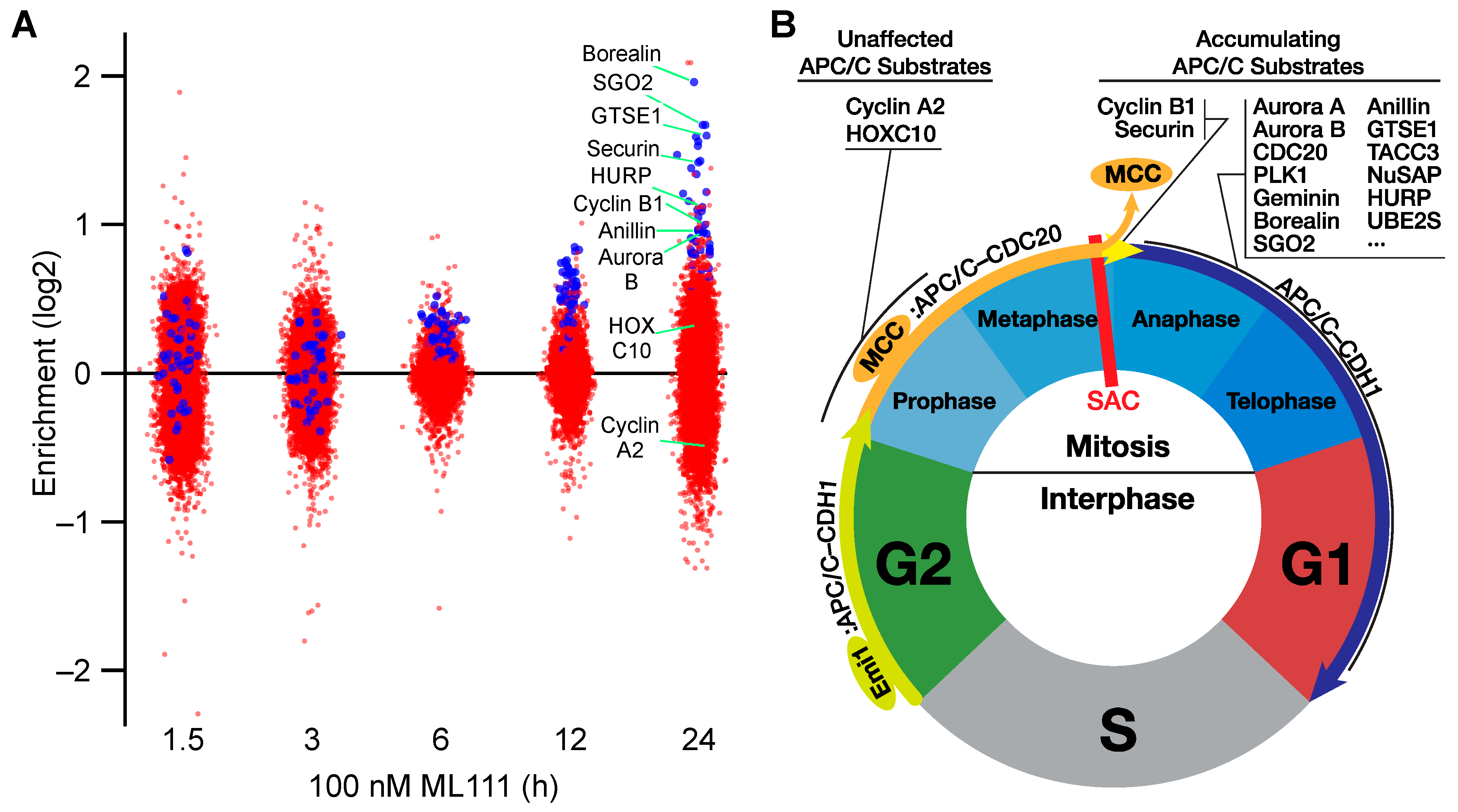 Pharmaceutics 13 01553 g005 Pharmaceutics 13 01553 g005