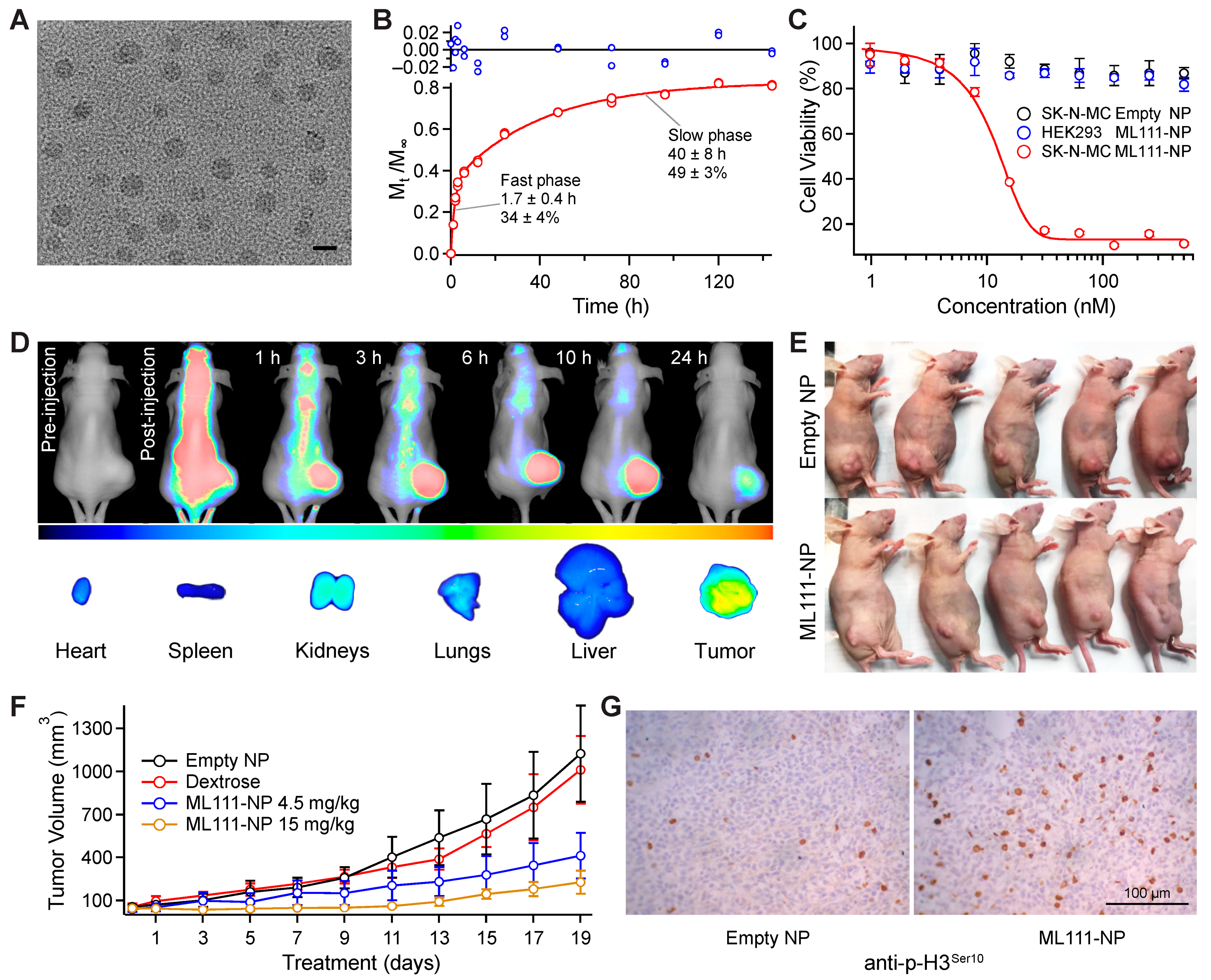 Pharmaceutics 13 01553 g006 Pharmaceutics 13 01553 g006