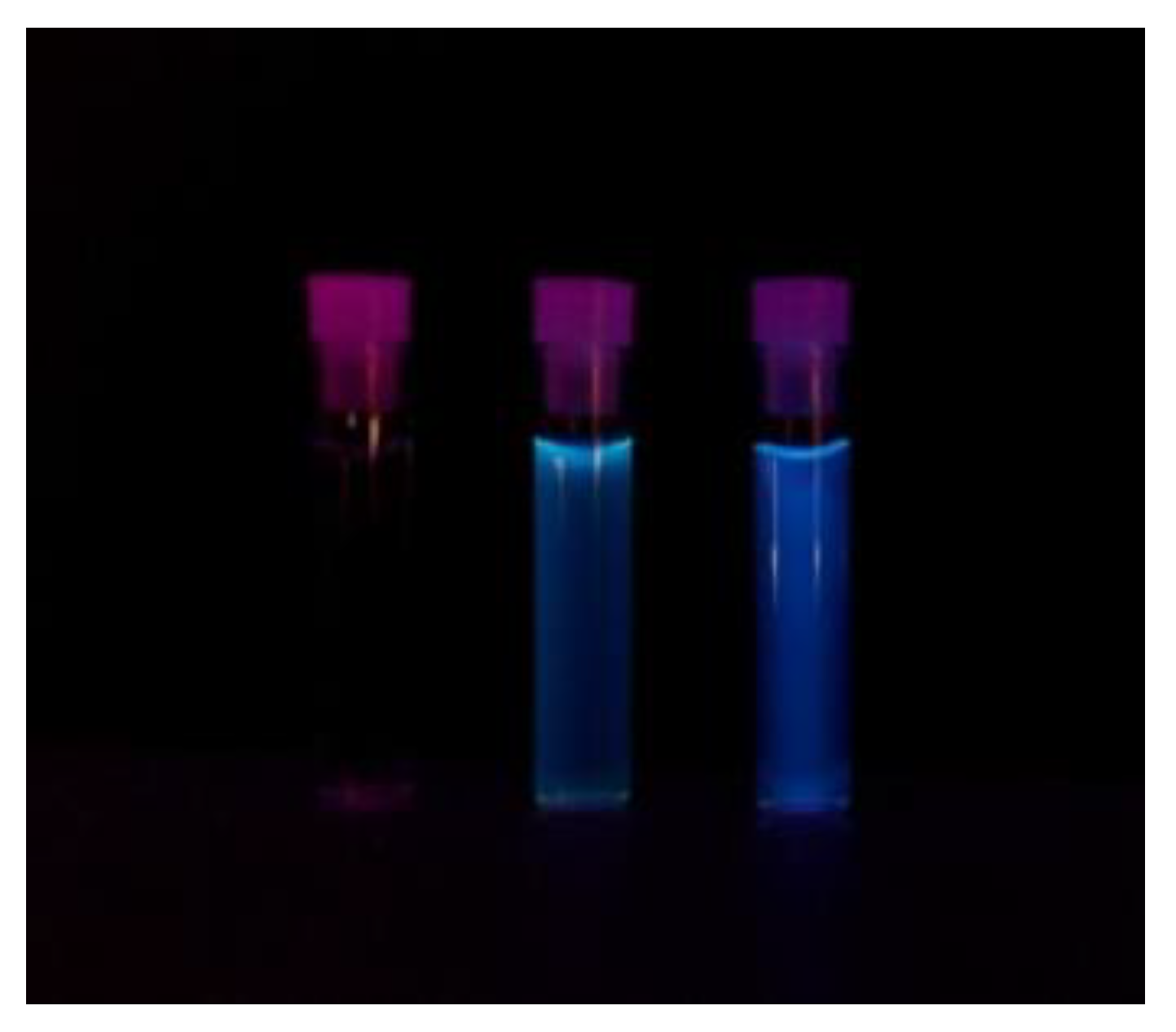 Pharmaceutics 13 01556 g002