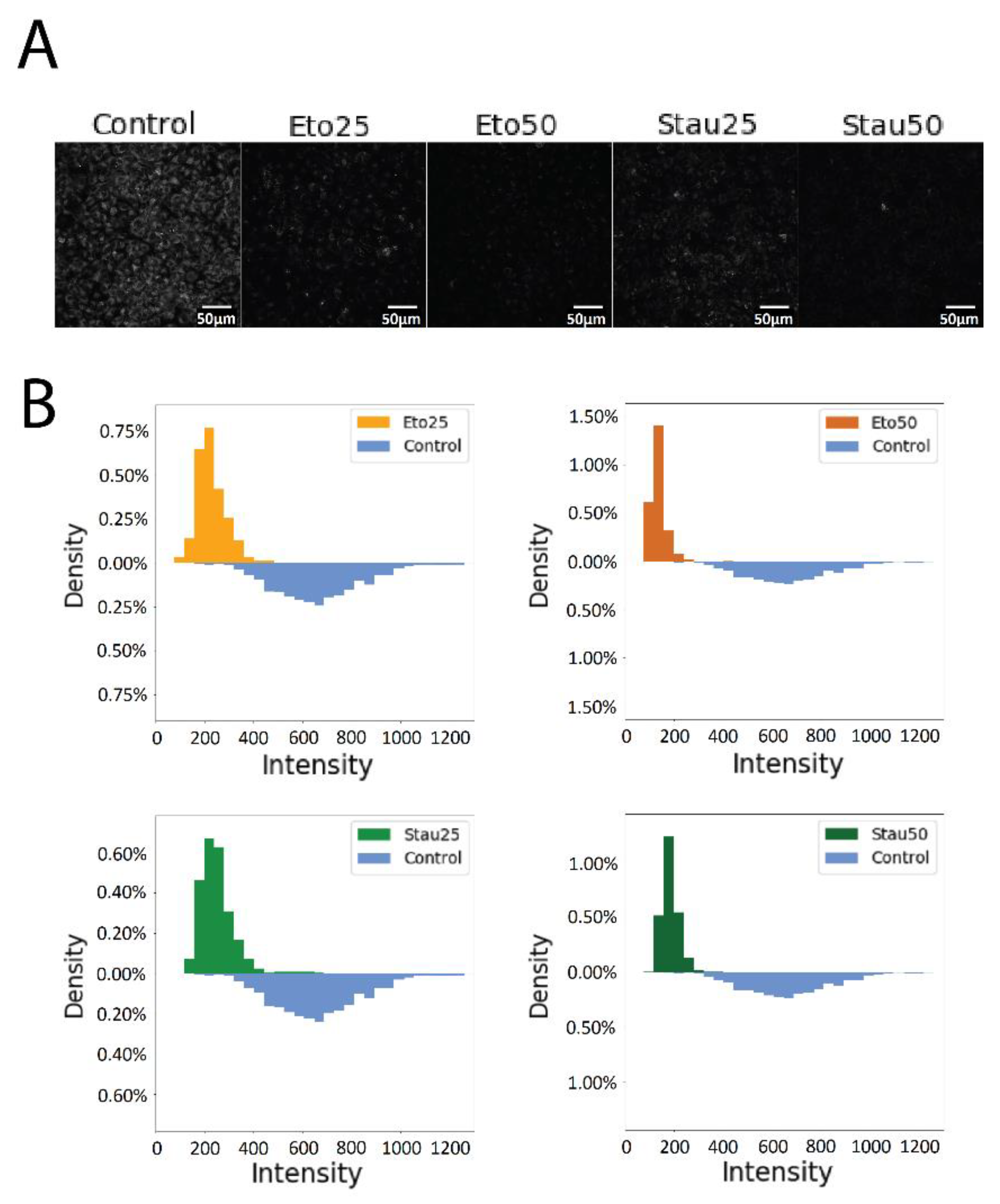 Pharmaceutics 13 01556 g017