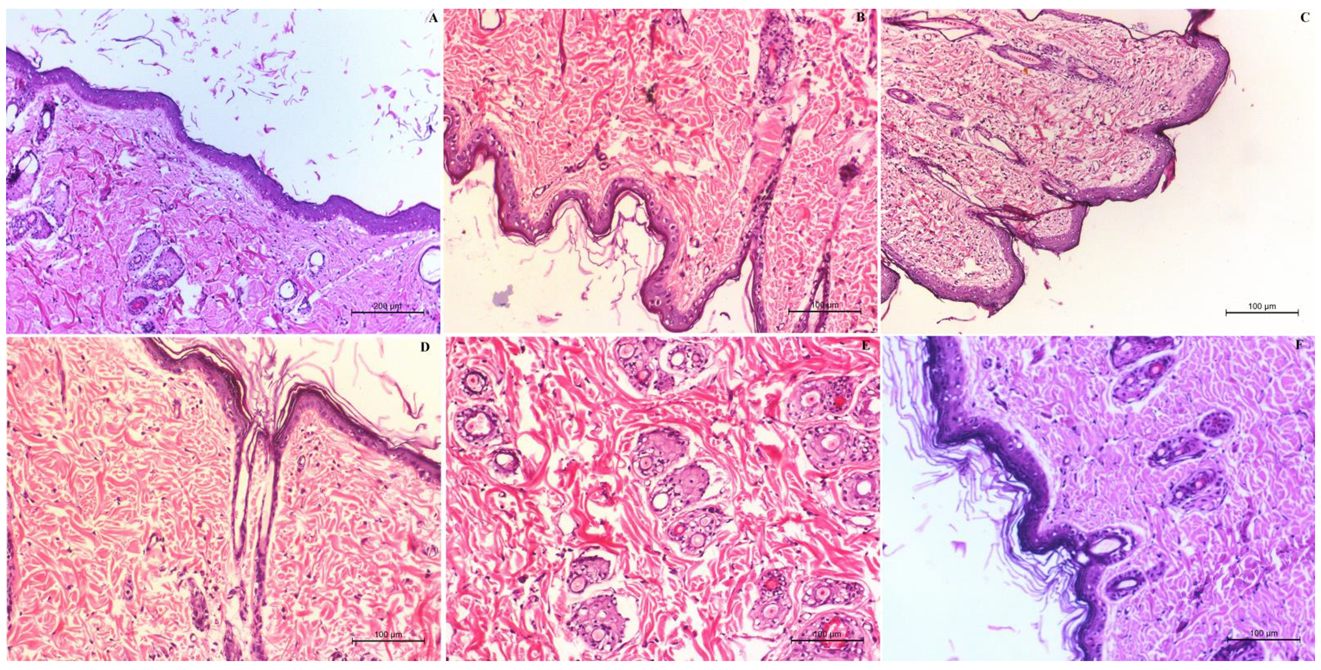 Pharmaceutics 13 01560 g008