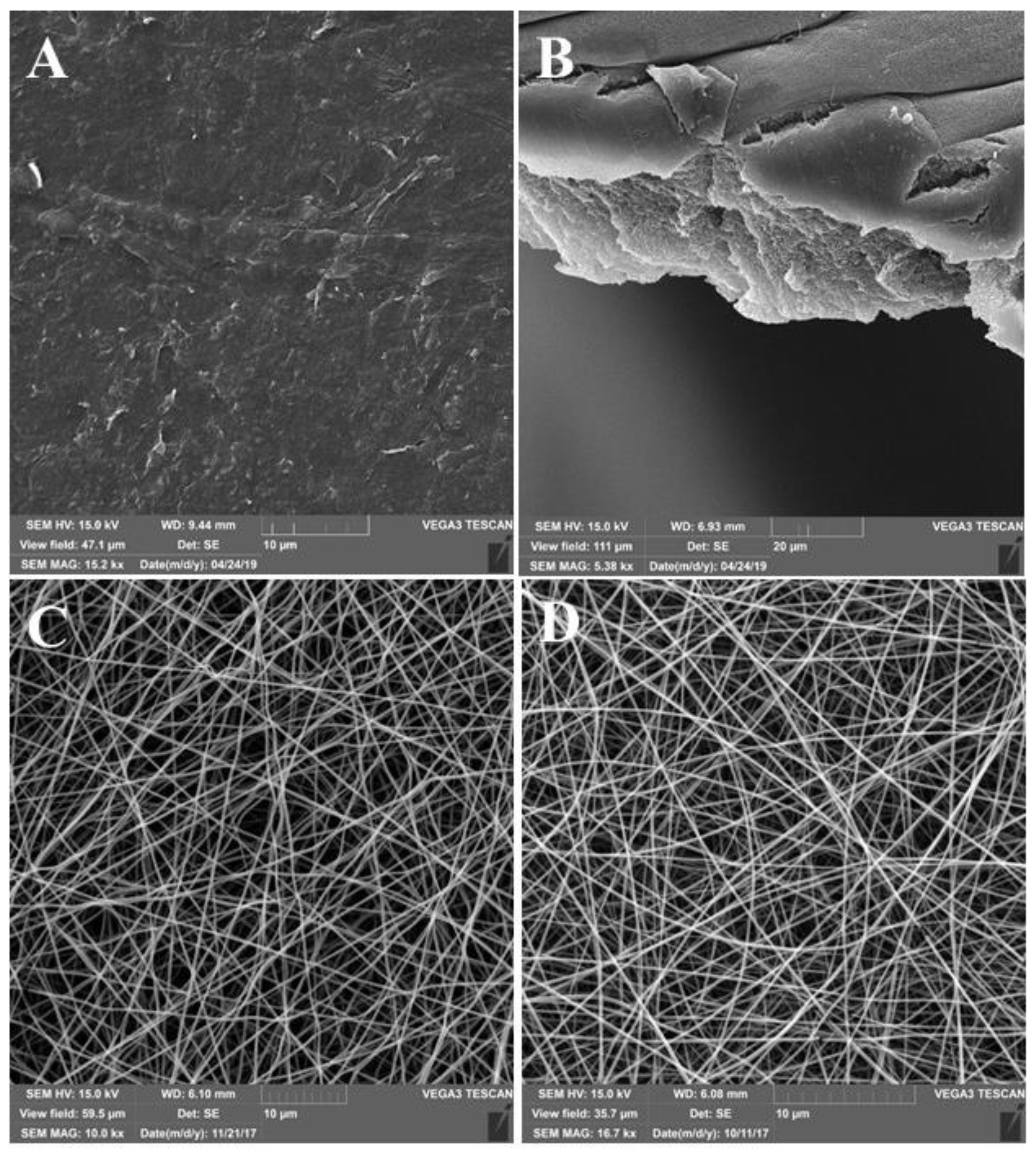 Pharmaceutics 13 01561 g001 Pharmaceutics 13 01561 g001
