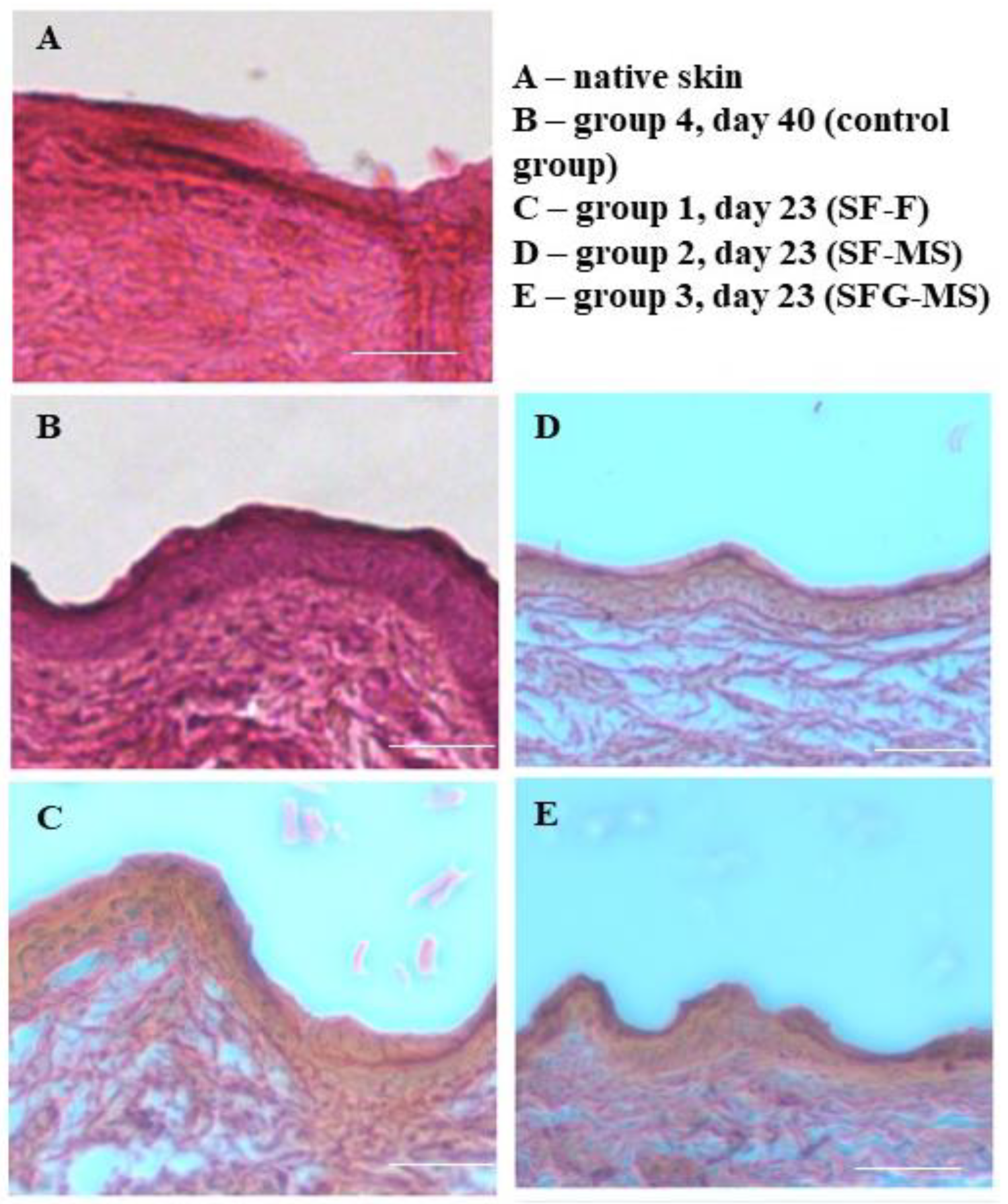 Pharmaceutics 13 01561 g008 Pharmaceutics 13 01561 g008