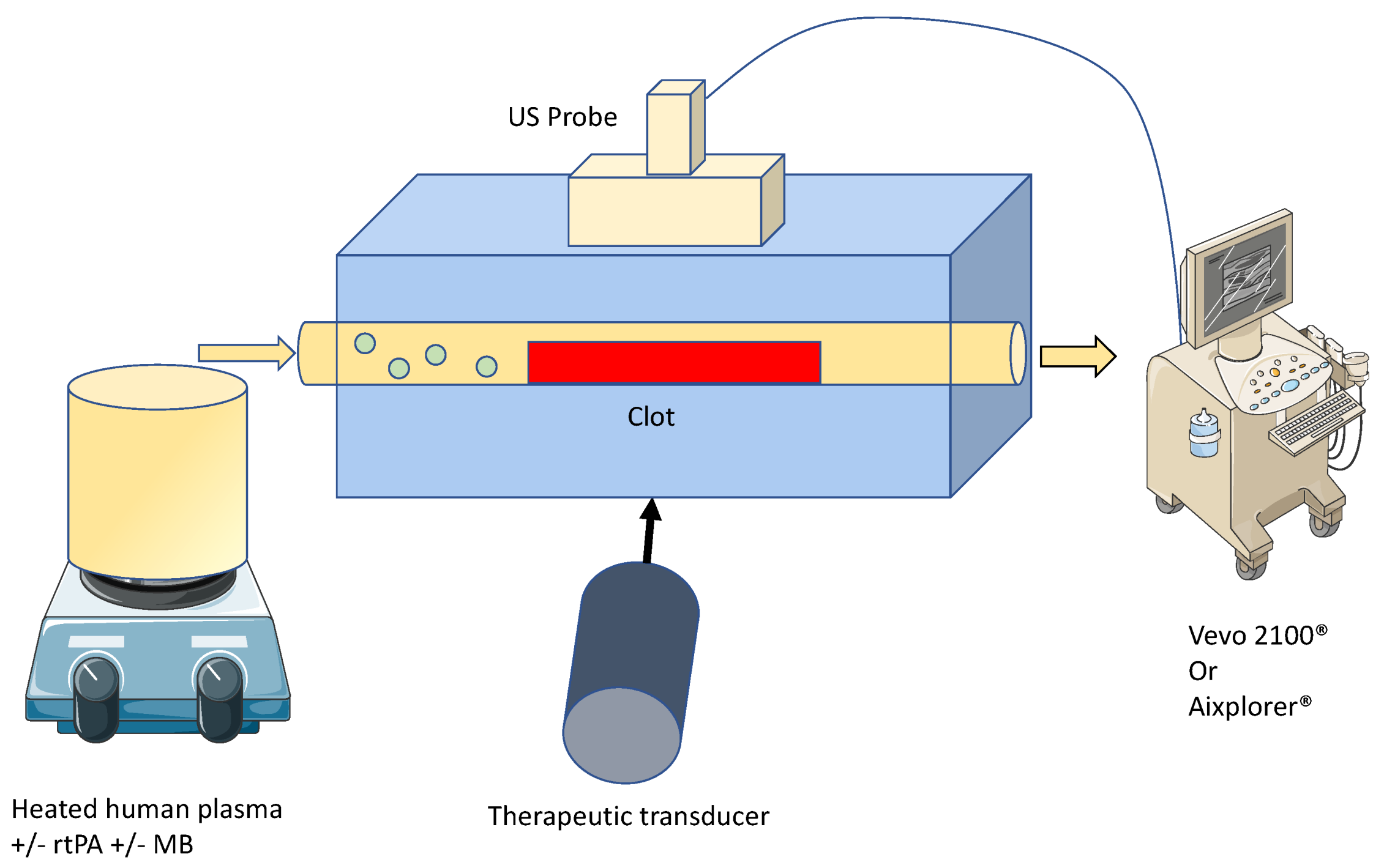 Pharmaceutics 13 01566 g001