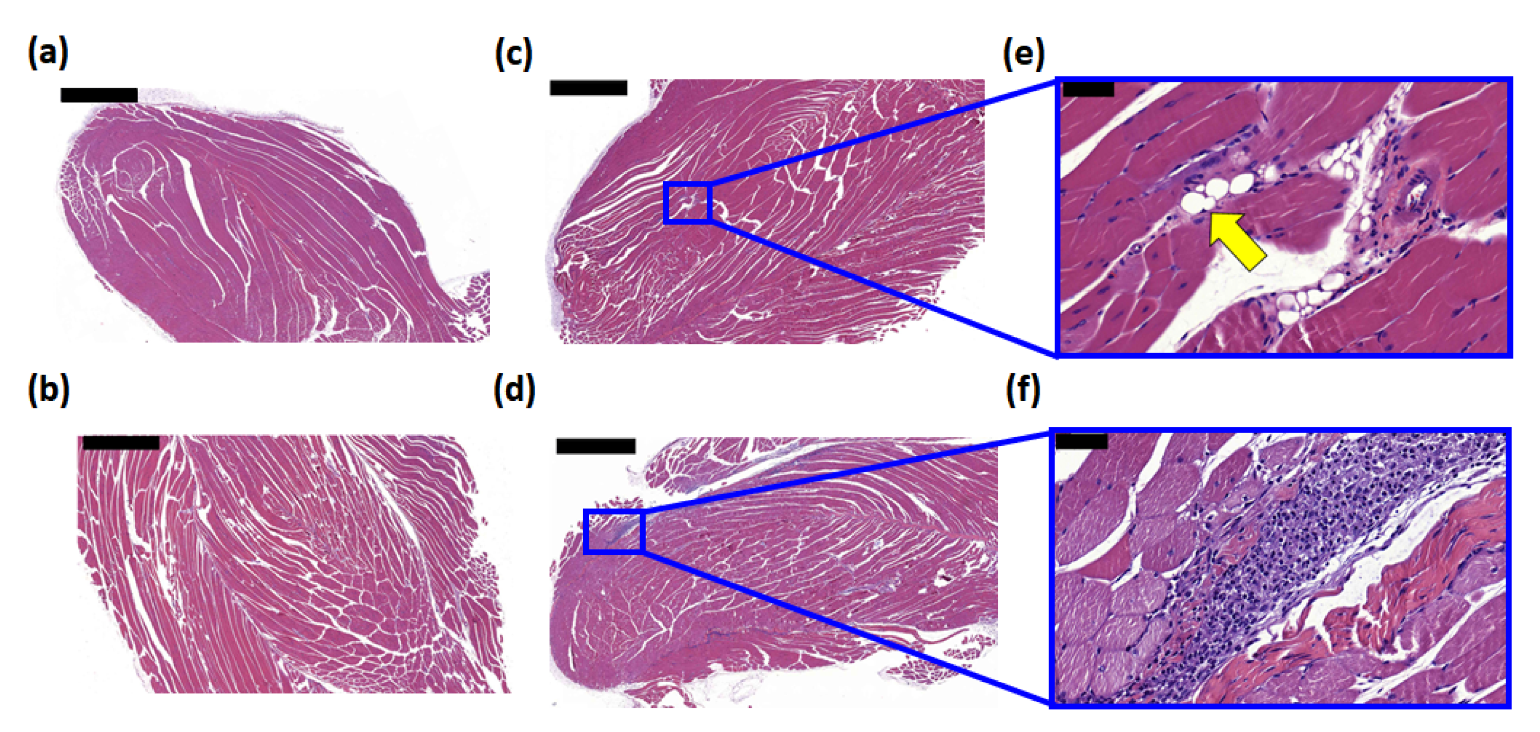 Pharmaceutics 13 01569 g004