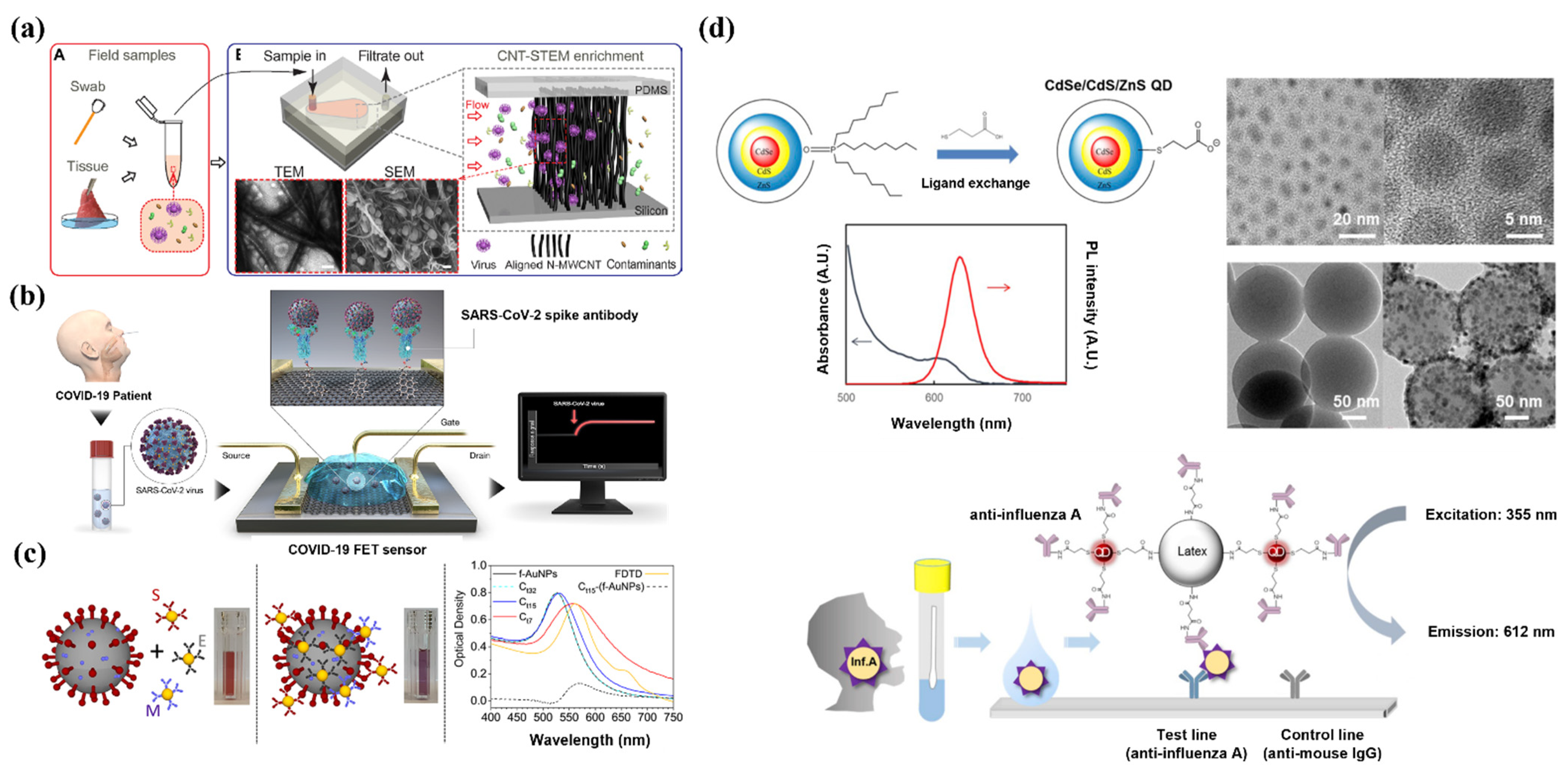 Pharmaceutics 13 01570 g001