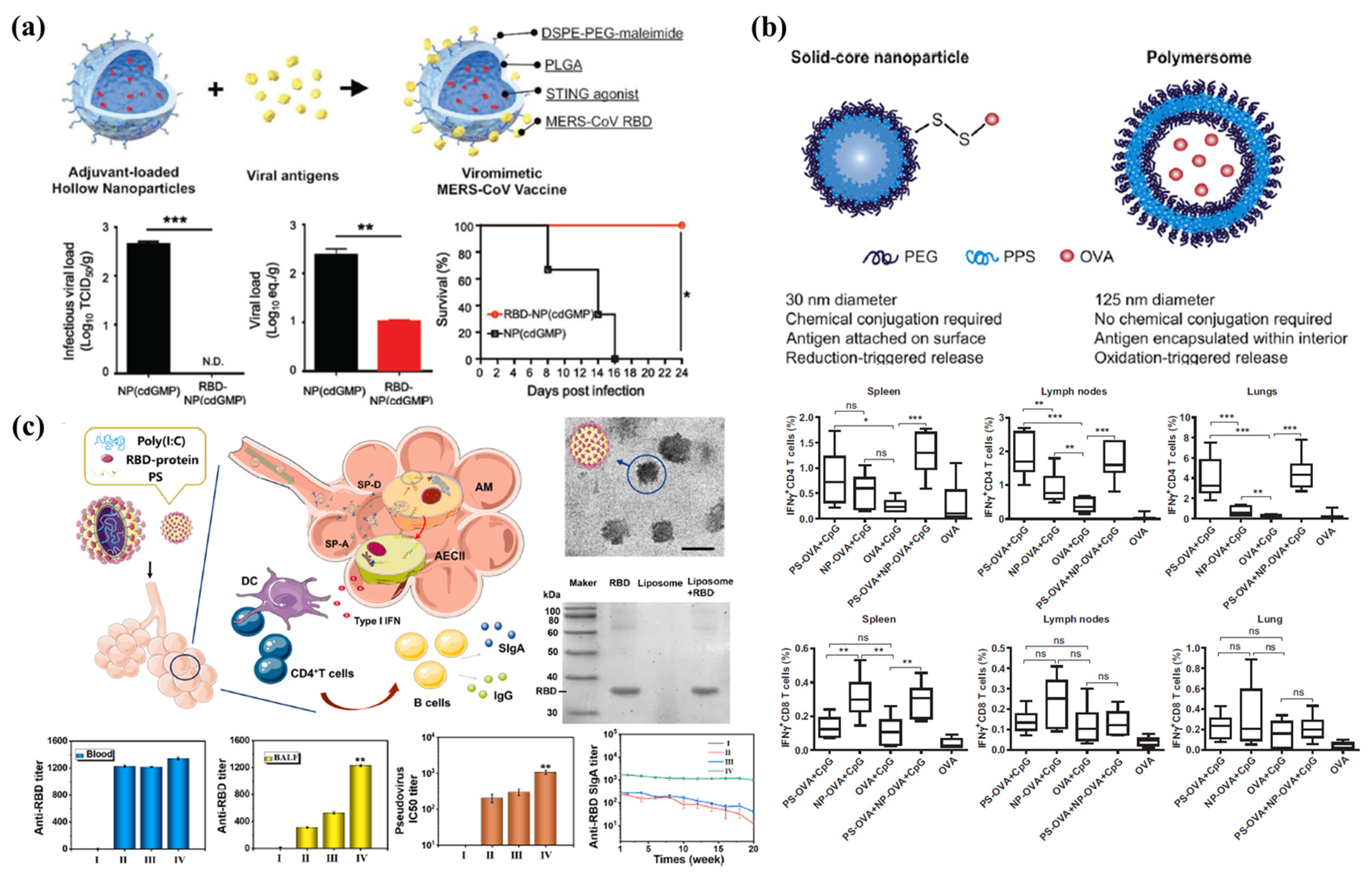 Pharmaceutics 13 01570 g003