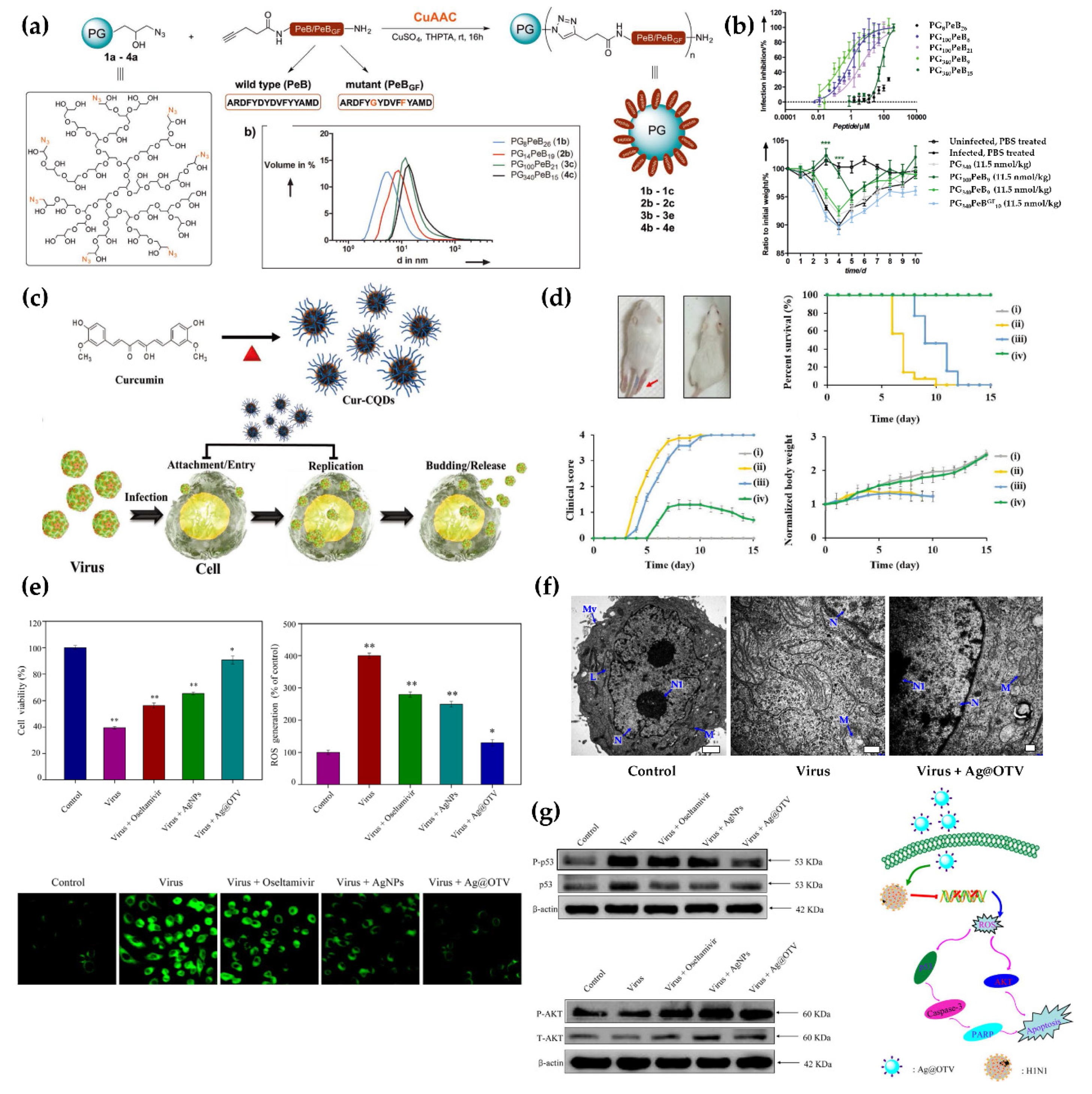 Pharmaceutics 13 01570 g006