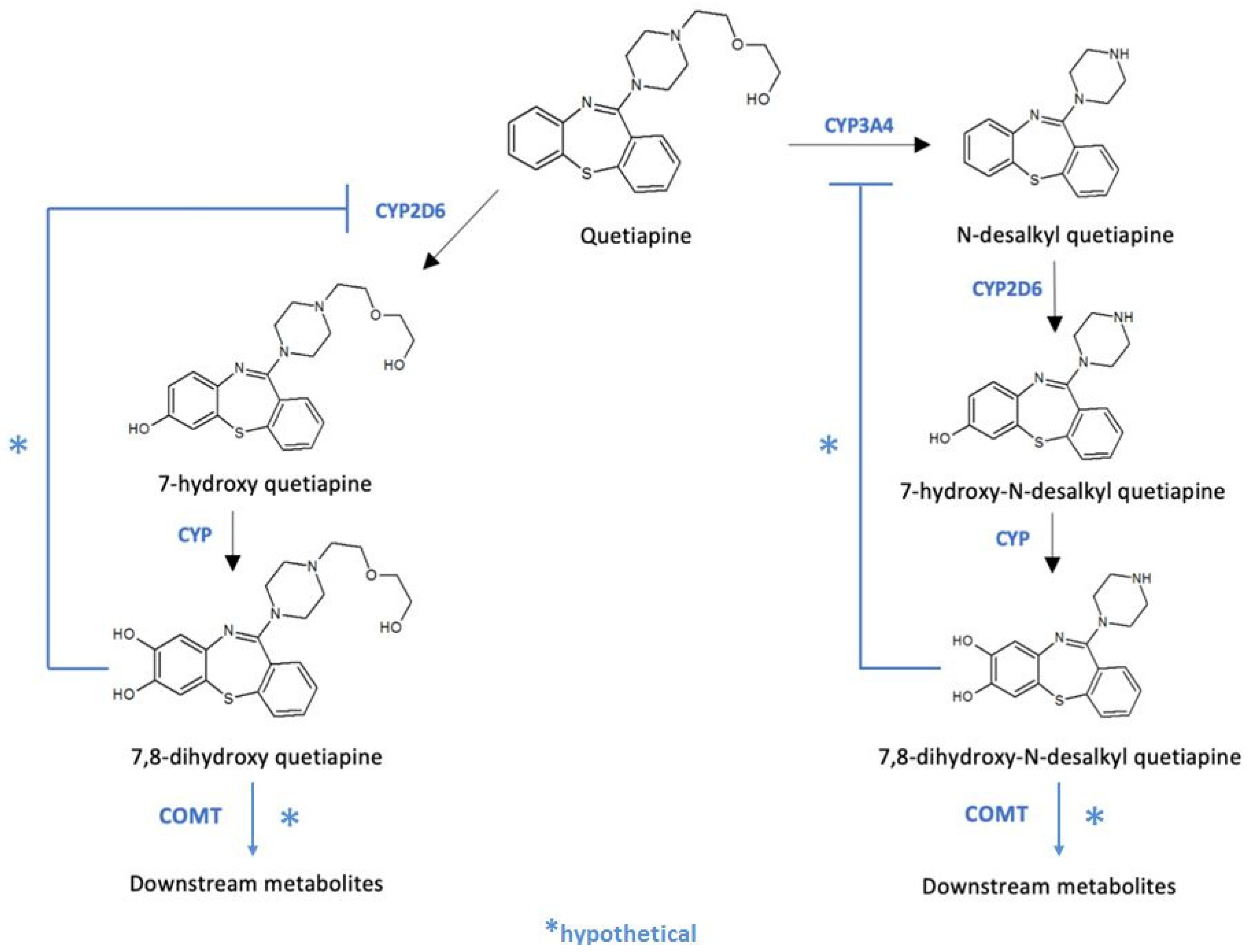 Pharmaceutics 13 01573 g001 Pharmaceutics 13 01573 g001