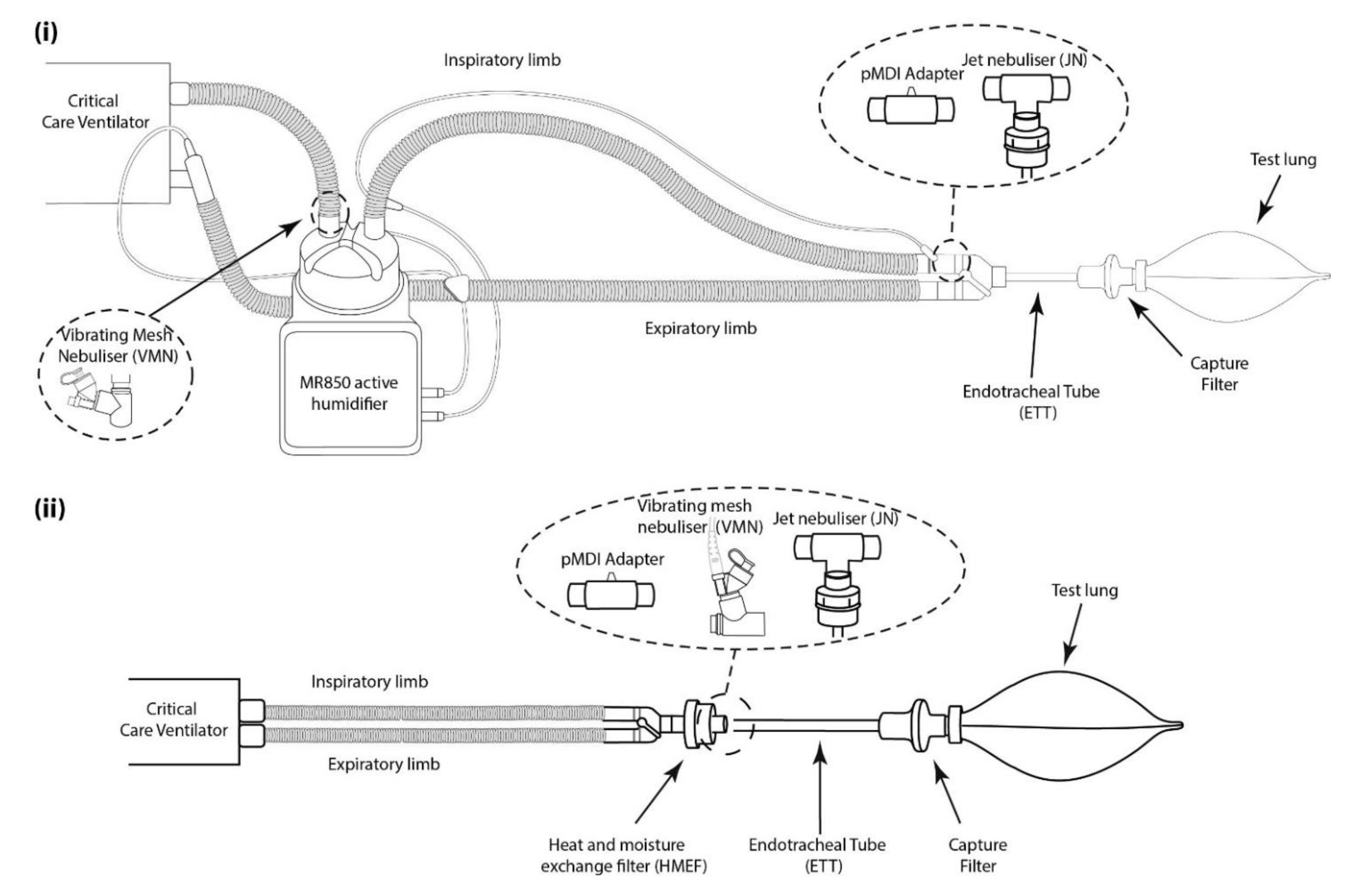 Pharmaceutics 13 01574 g002 Pharmaceutics 13 01574 g002