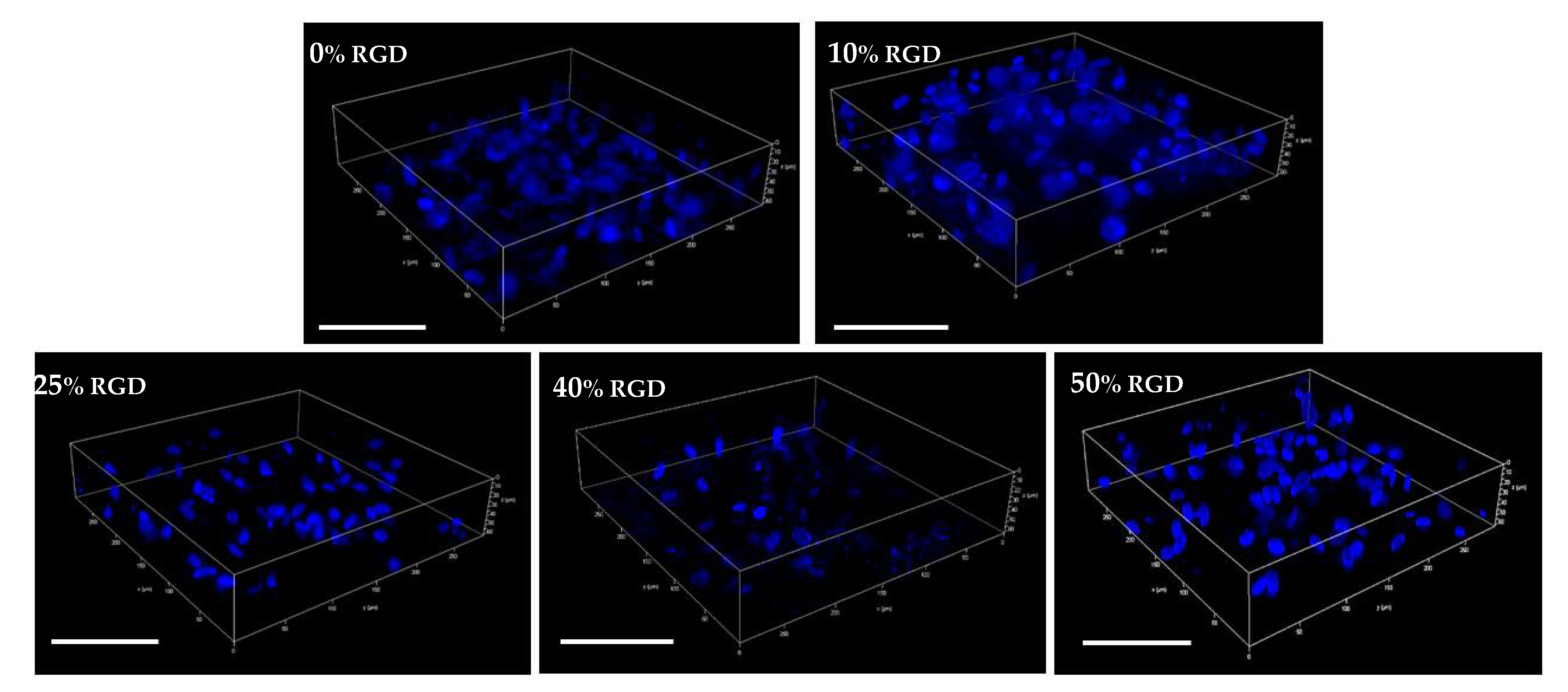 Pharmaceutics 13 01575 g002