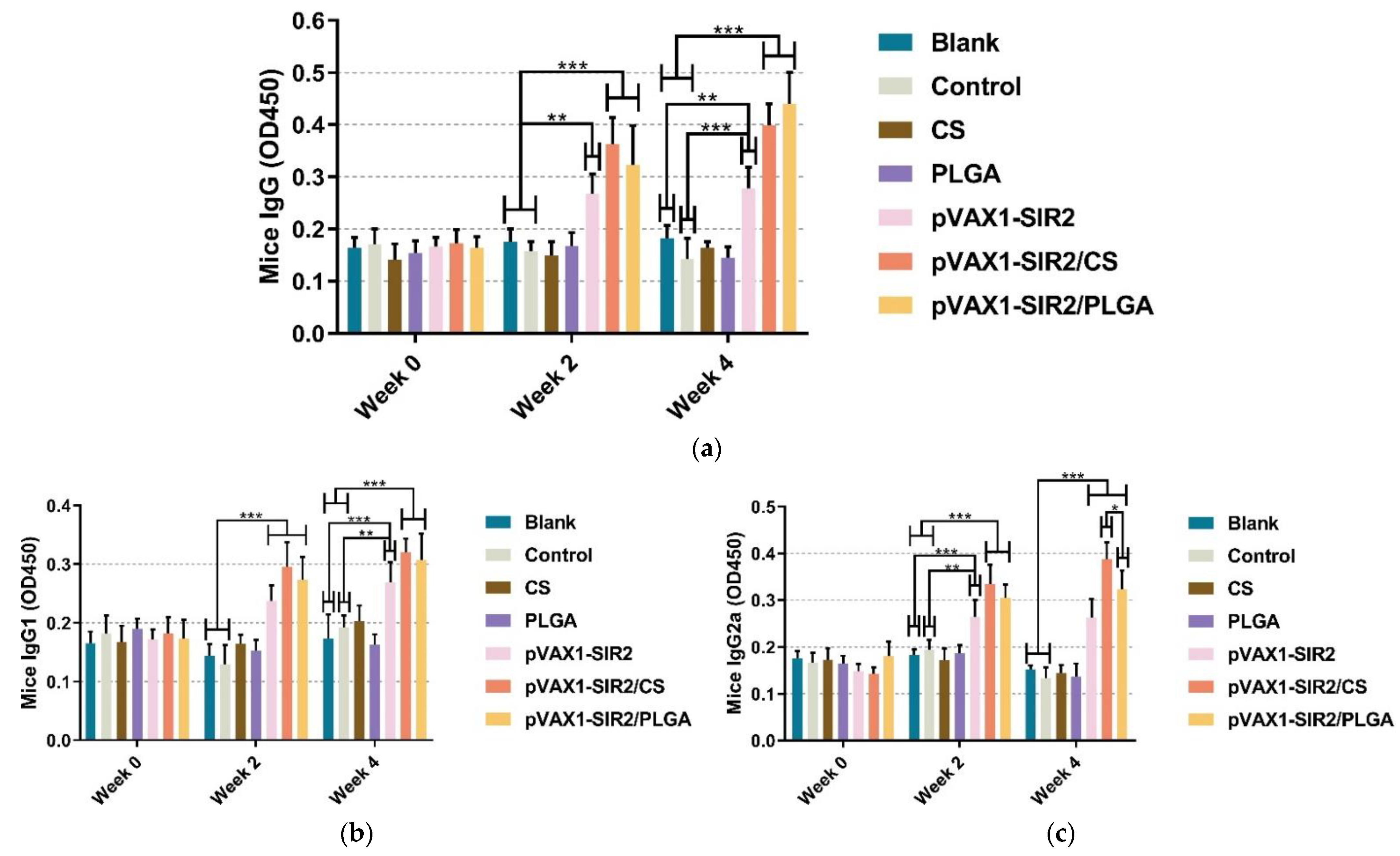 Pharmaceutics 13 01582 g005 Pharmaceutics 13 01582 g005