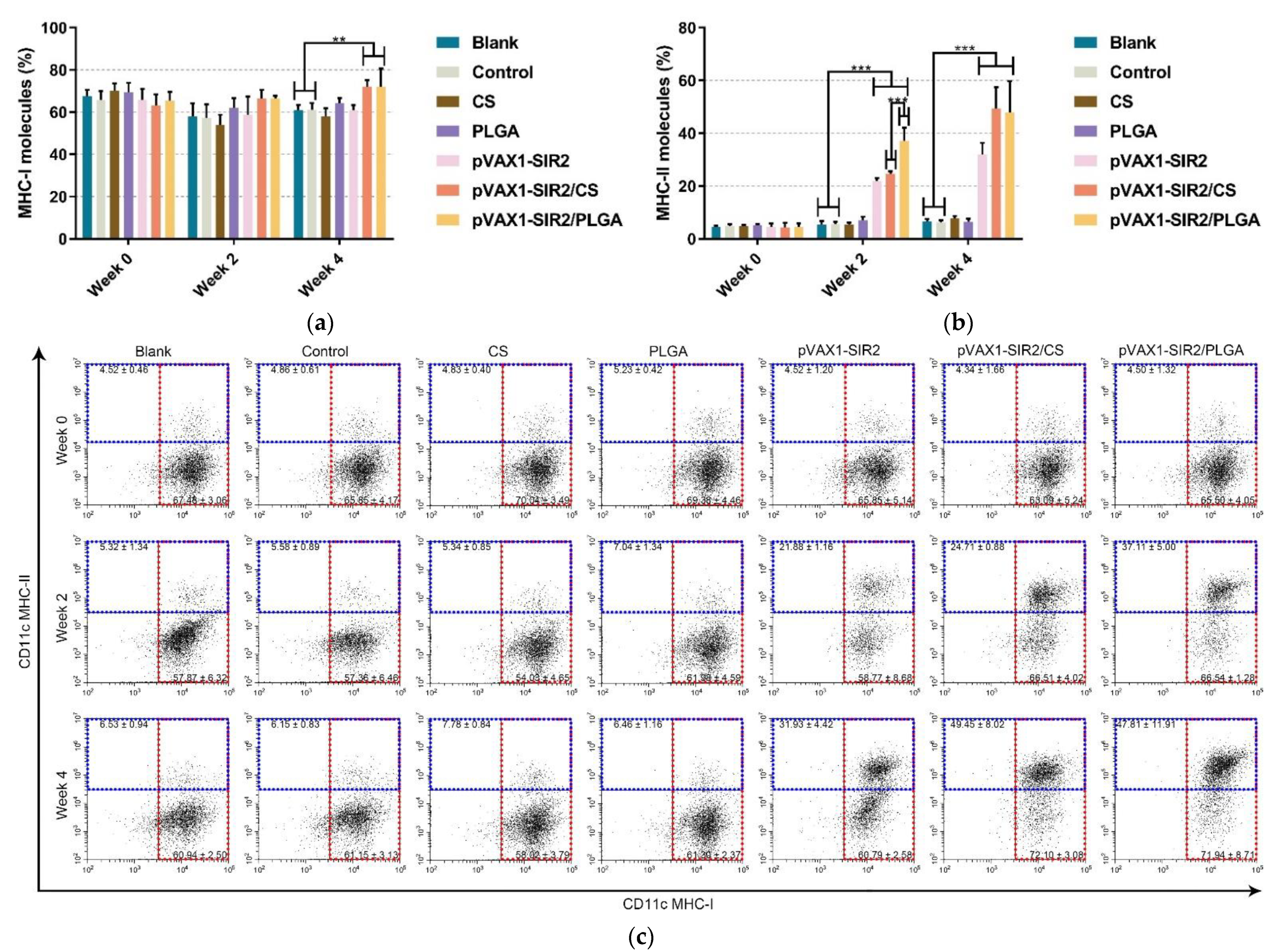 Pharmaceutics 13 01582 g008 Pharmaceutics 13 01582 g008