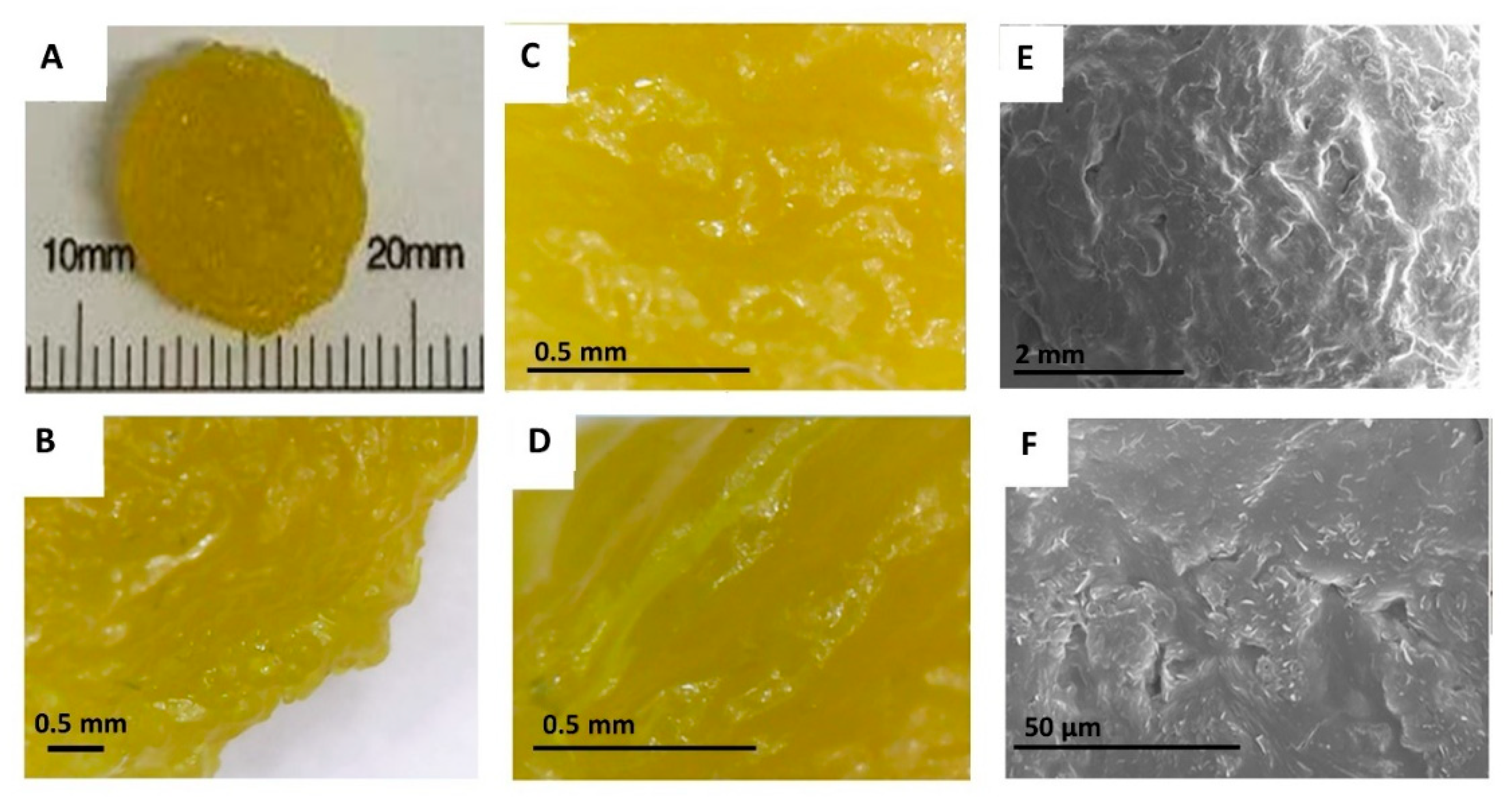 Pharmaceutics 13 01583 g002
