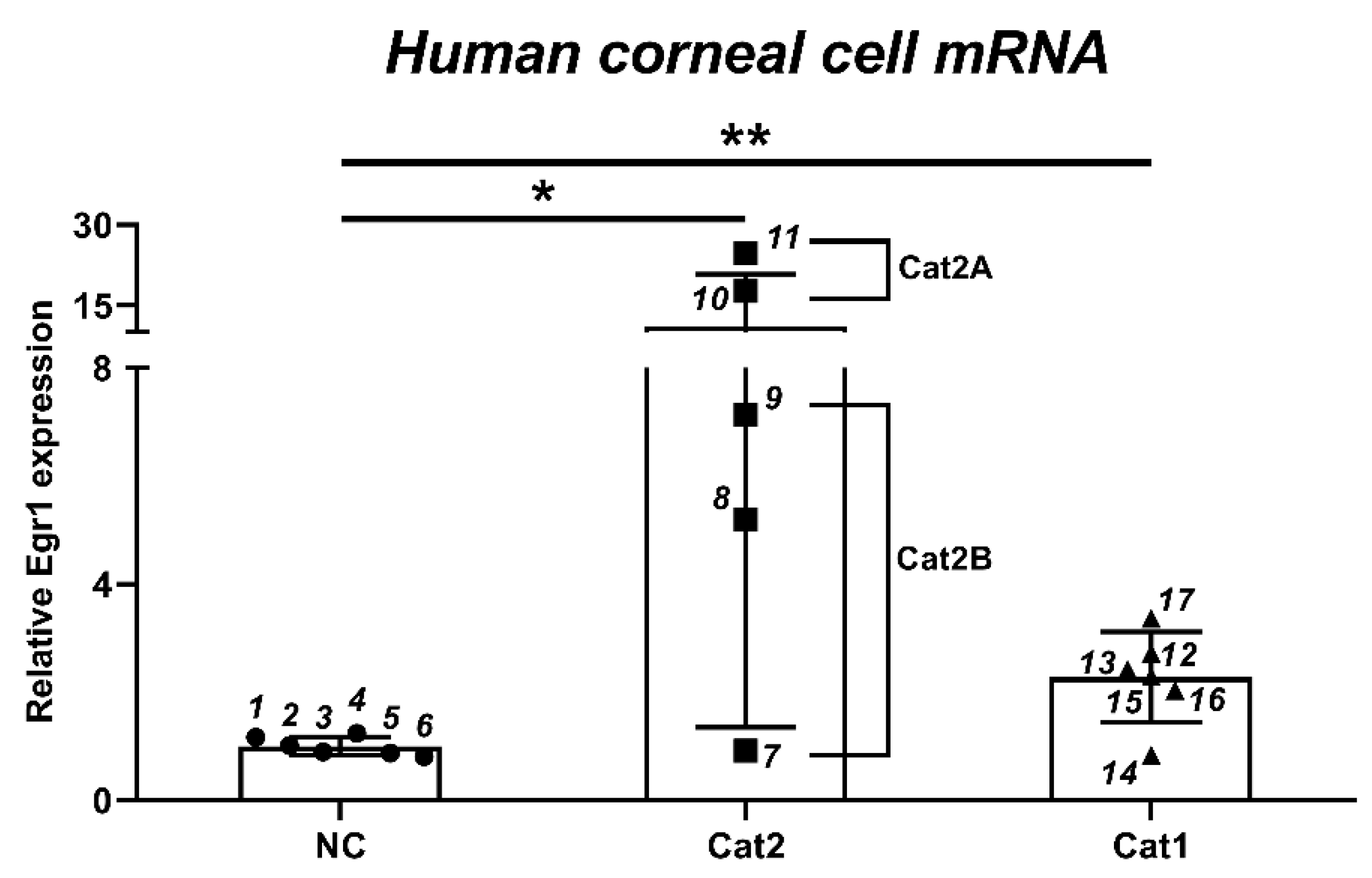 Pharmaceutics 13 01584 g002