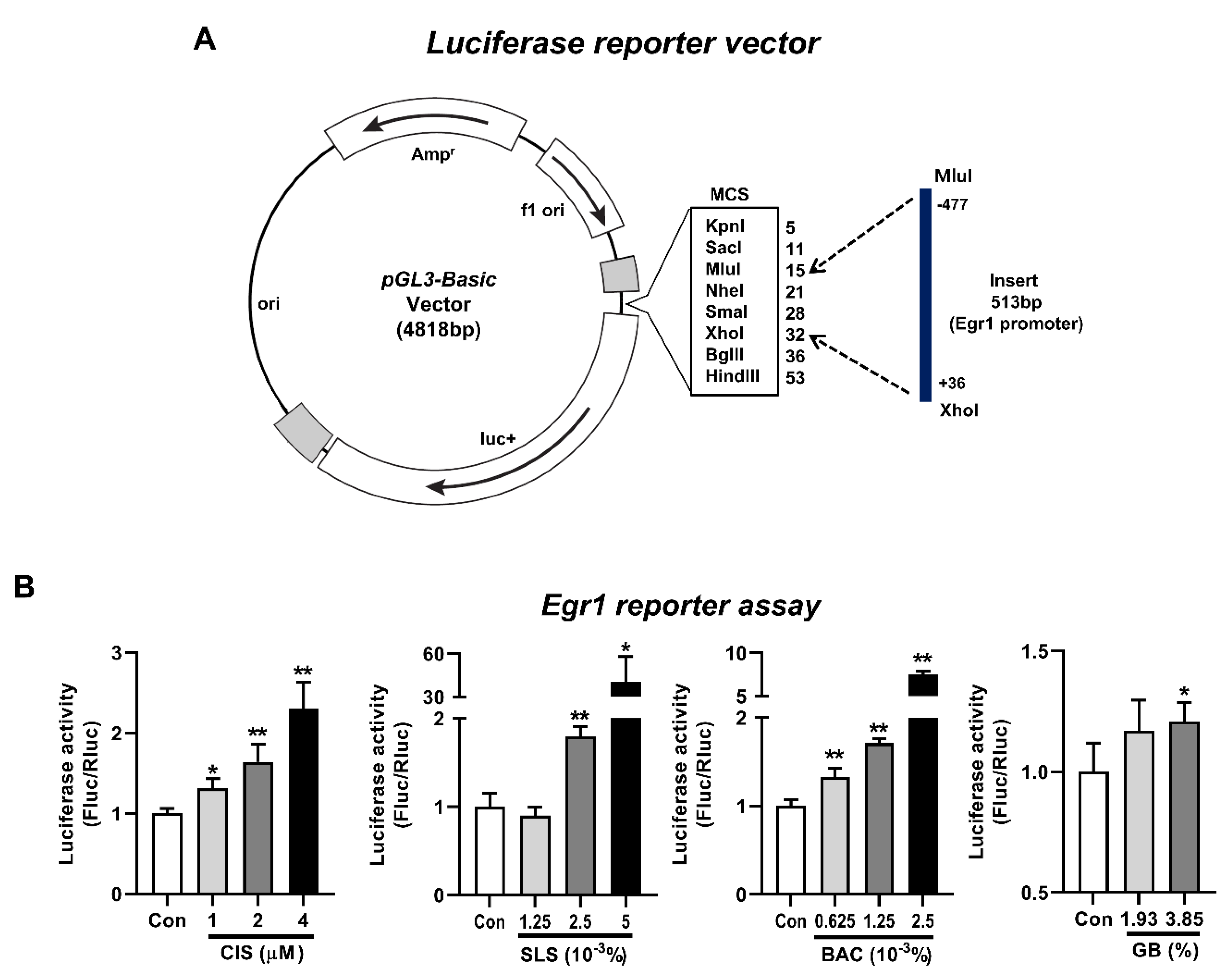 Pharmaceutics 13 01584 g006